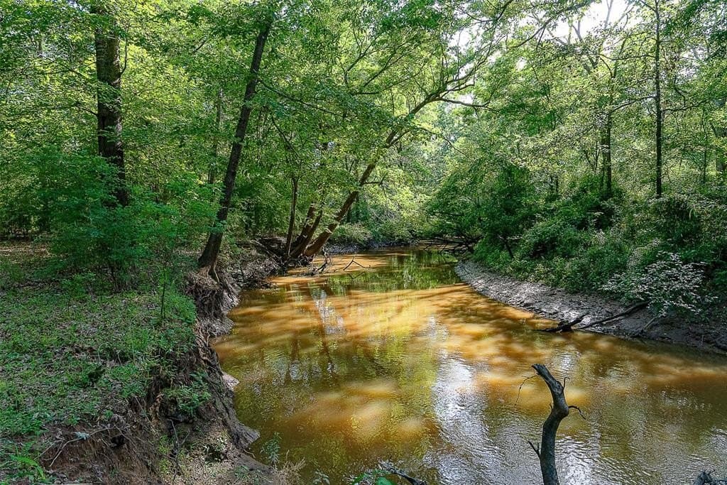 245.6 acres in Cherokee County gallery image 2