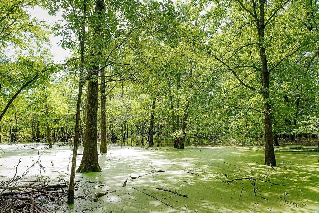 245.6 acres in Cherokee County gallery image 3
