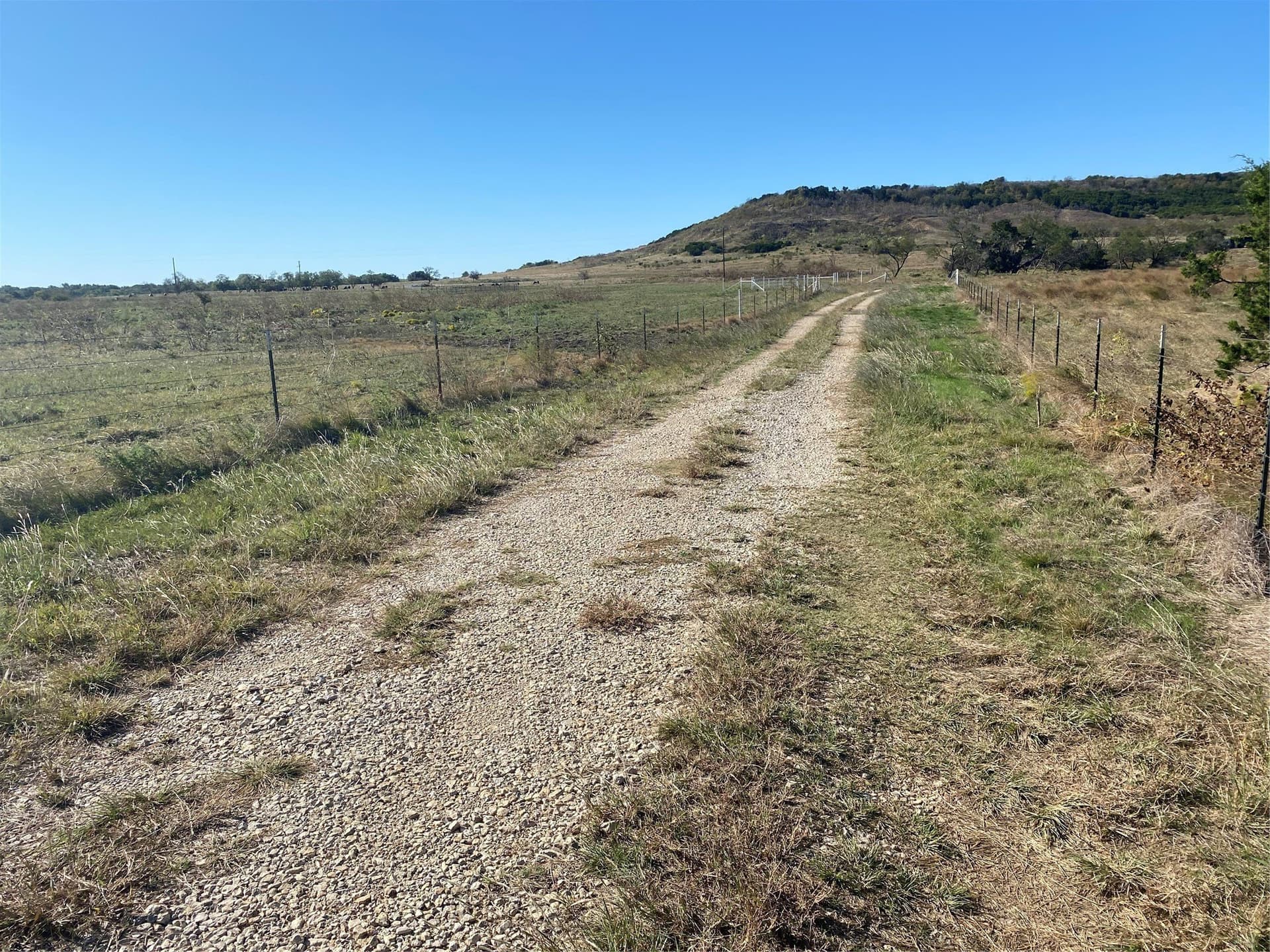 25.16 acres in Palo Pinto County gallery image 4