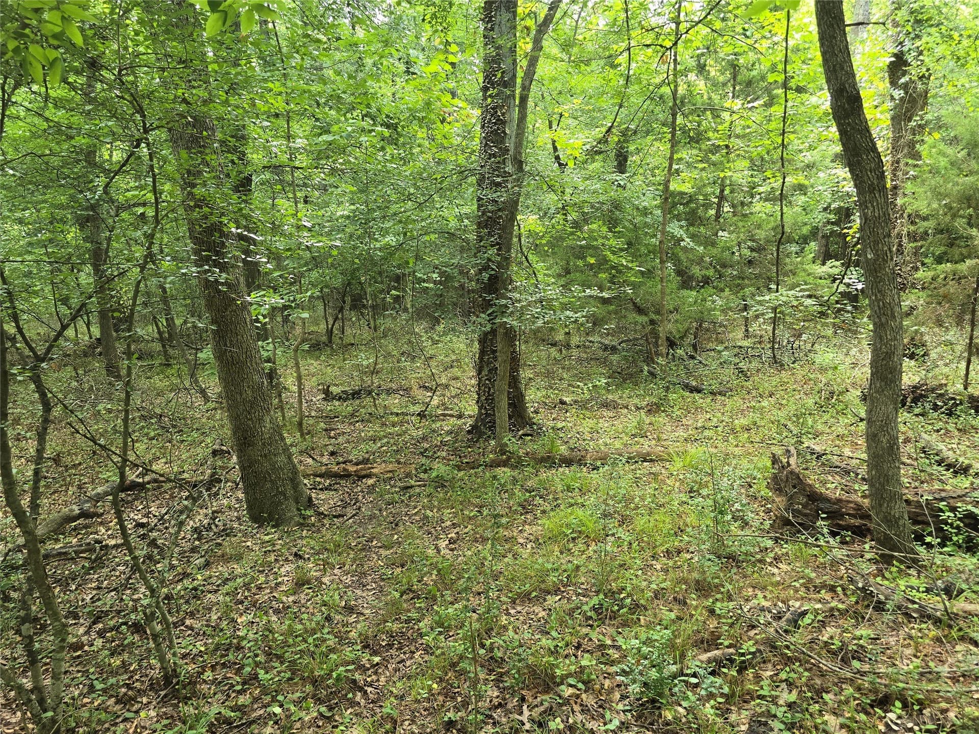 2.68 acres in Hunt County