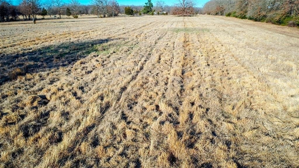 228.17 acres in Red River (TX) County gallery image 3