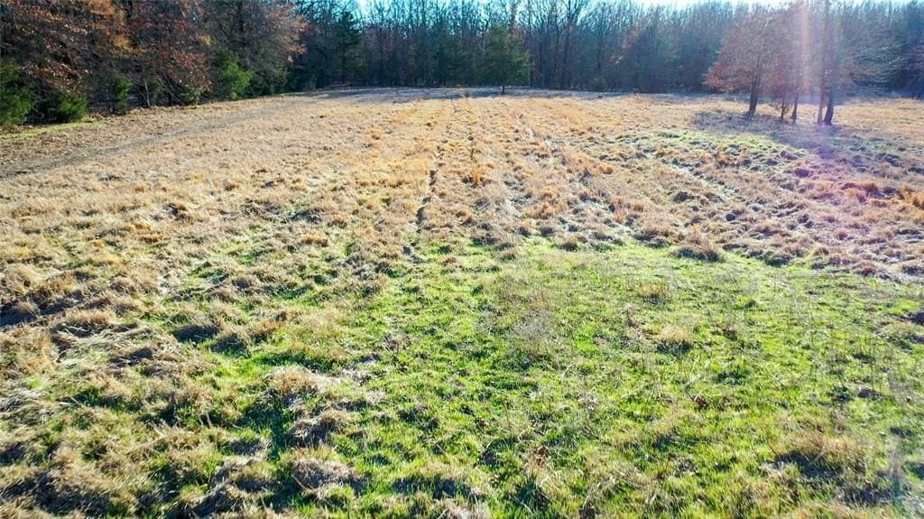 228.17 acres in Red River (TX) County gallery image 2