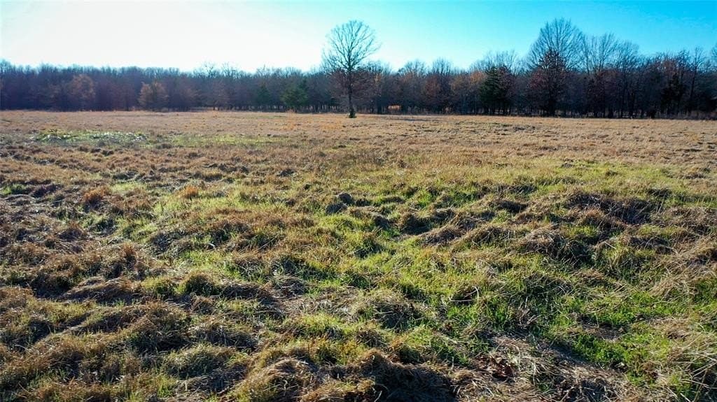 228.17 acres in Red River (TX) County gallery image 4