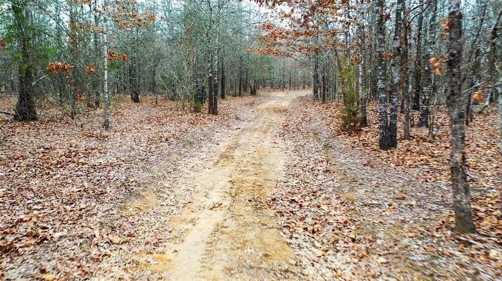 228.17 acres in Red River (TX) County