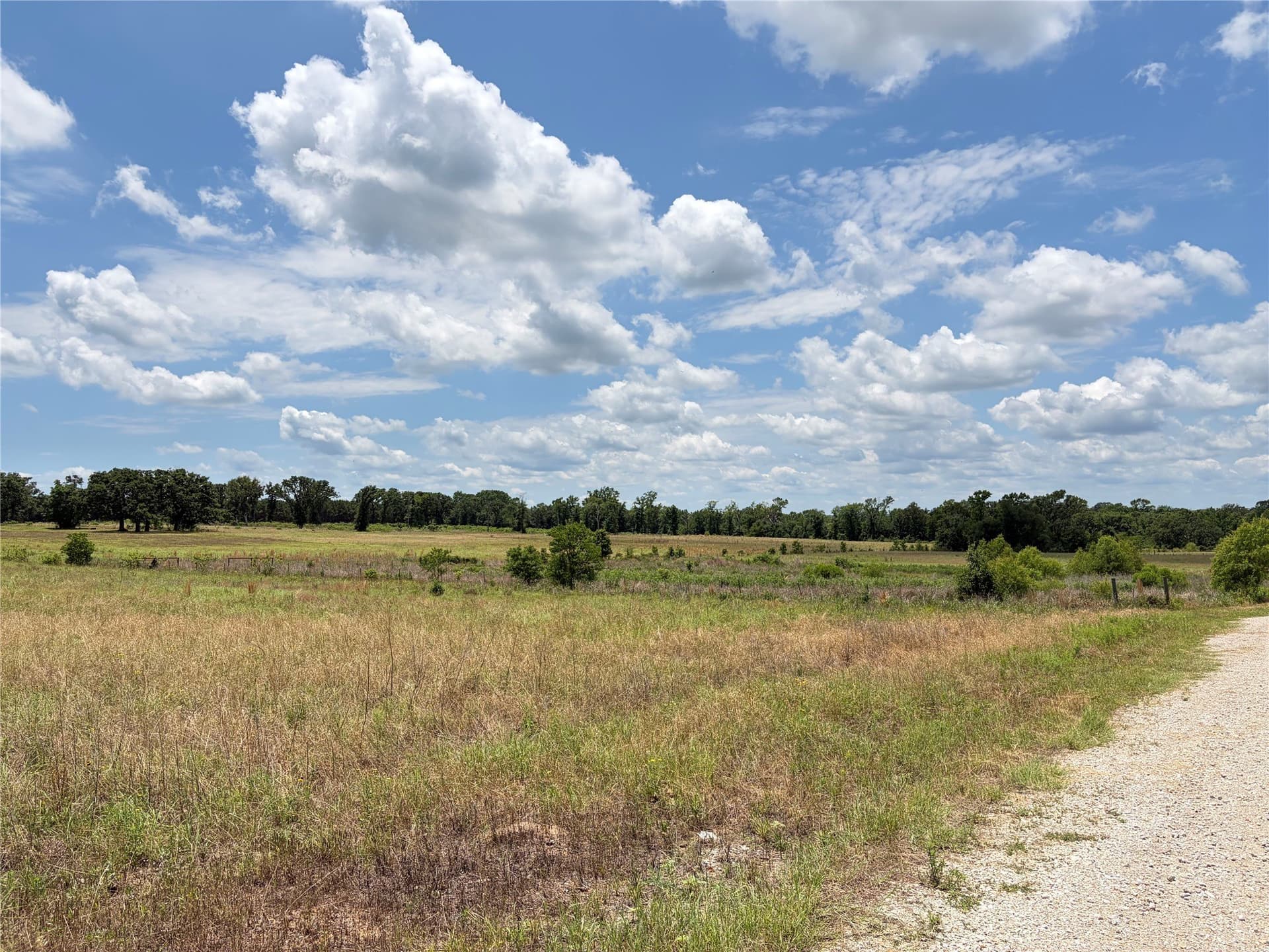 0.84 acres in Henderson County - photo 15