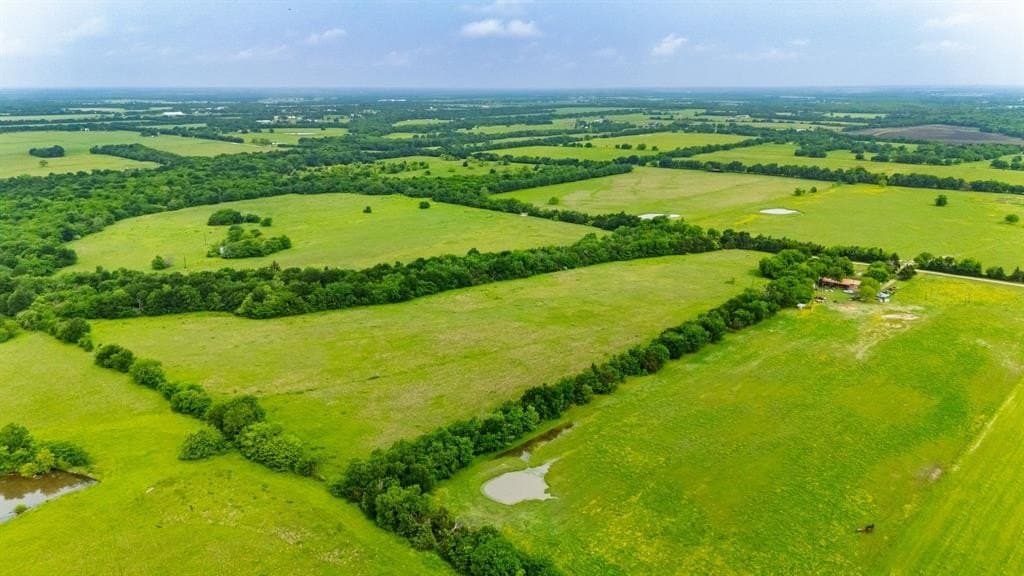 20 acres in Hunt County gallery image 2