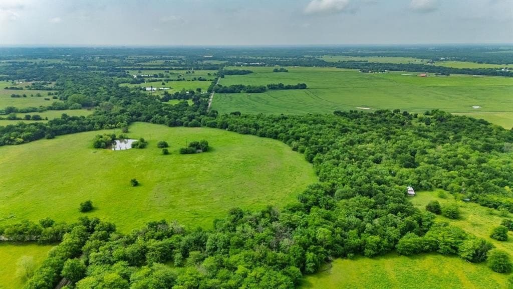 20 acres in Hunt County gallery image 4