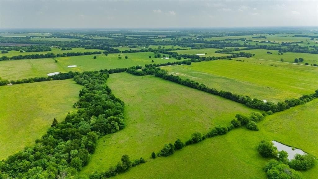 20 acres in Hunt County gallery image 3