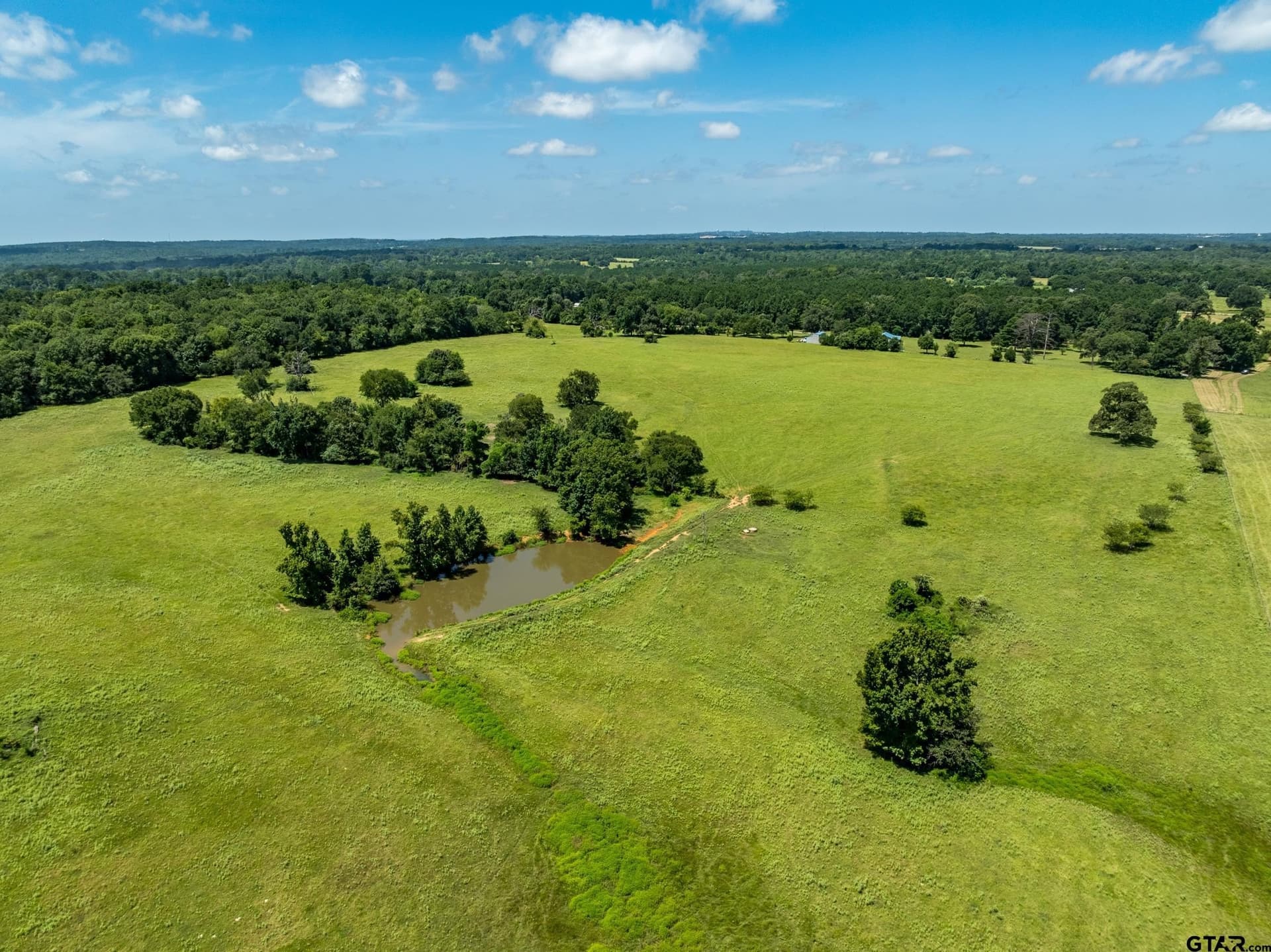 94.15 acres in Anderson County - photo 7