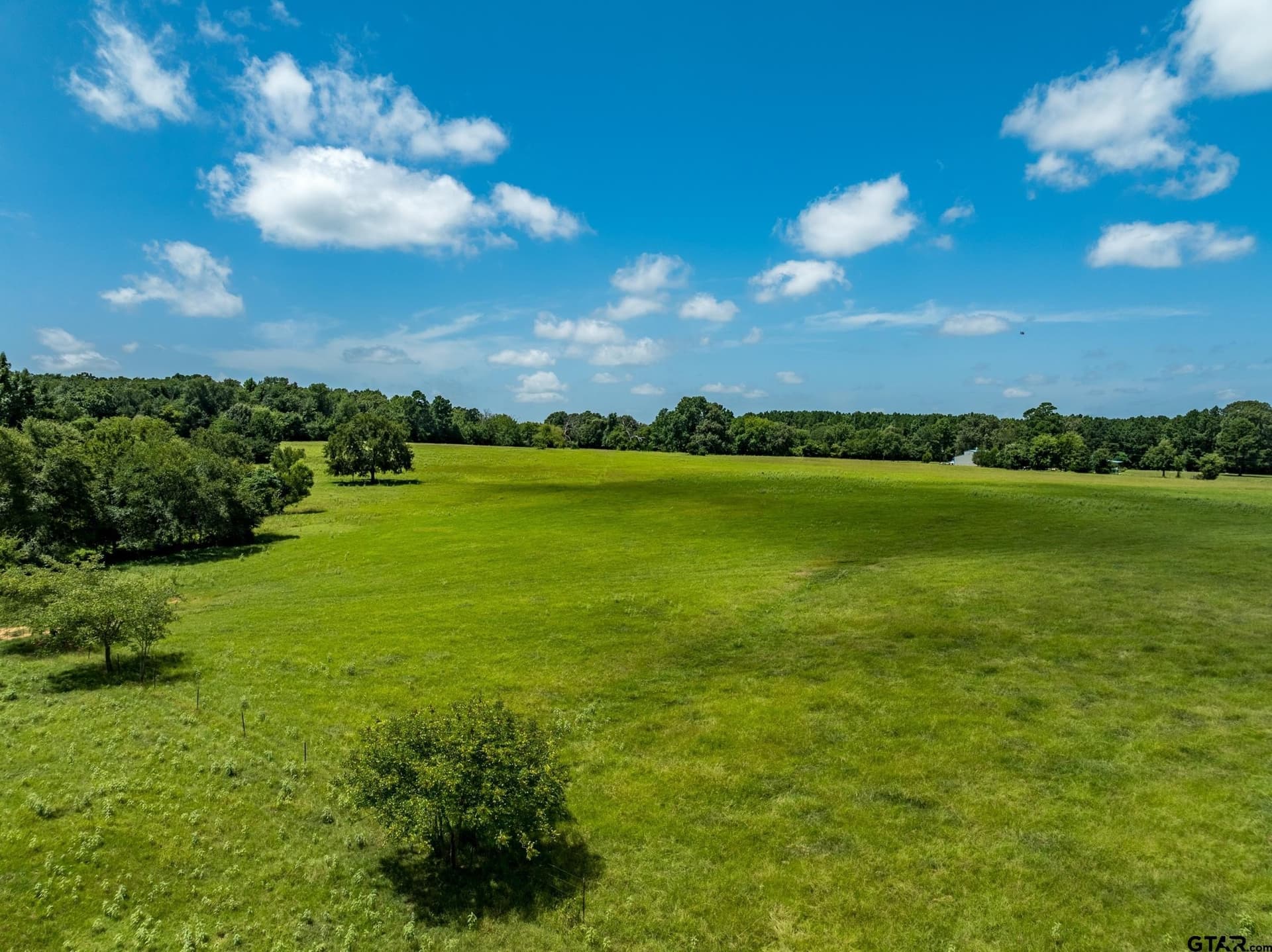 94.15 acres in Anderson County - photo 11