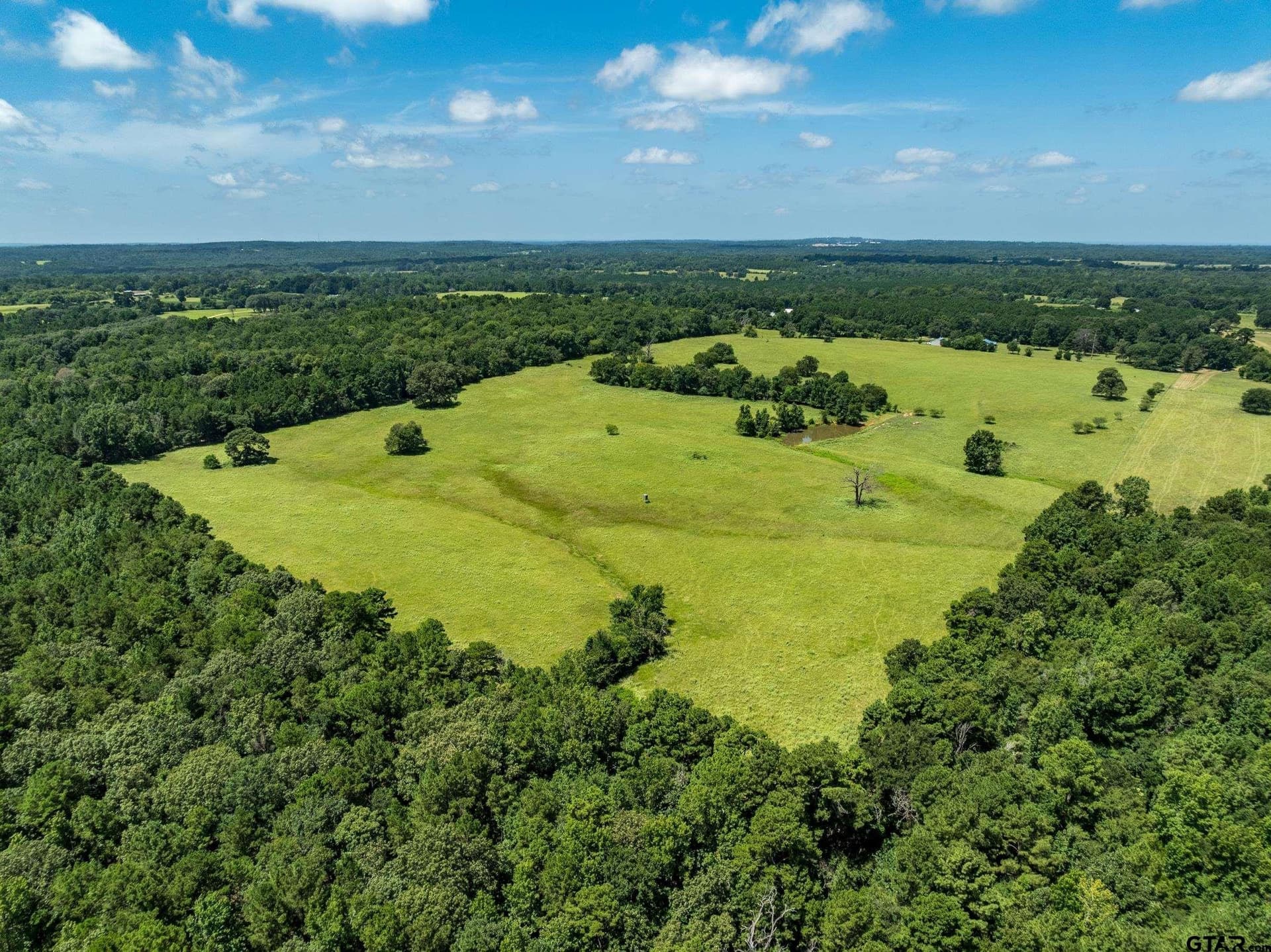 94.15 acres in Anderson County - photo 6