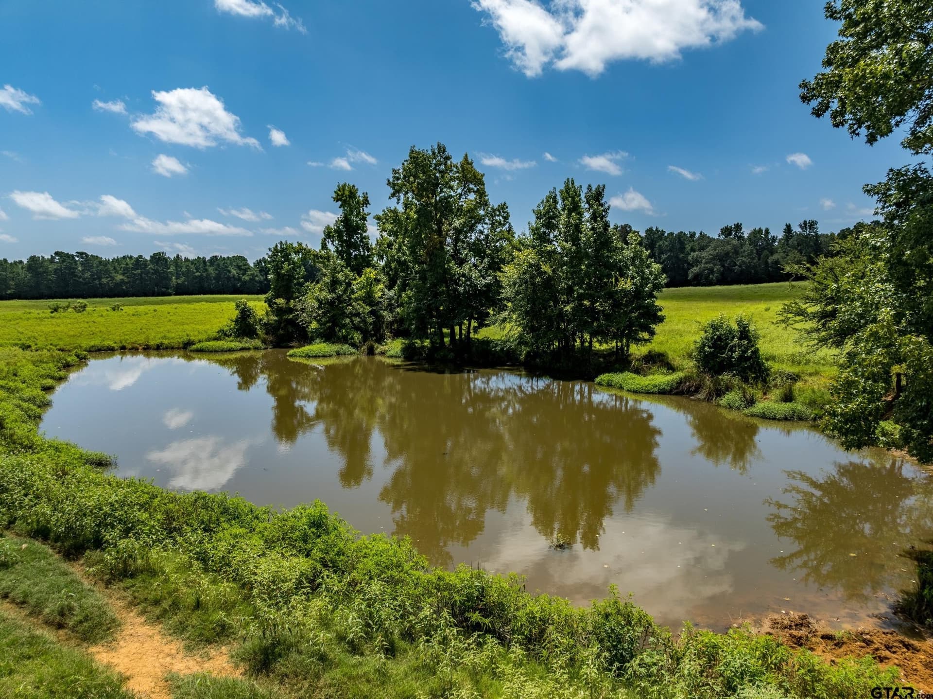 94.15 acres in Anderson County - photo 9