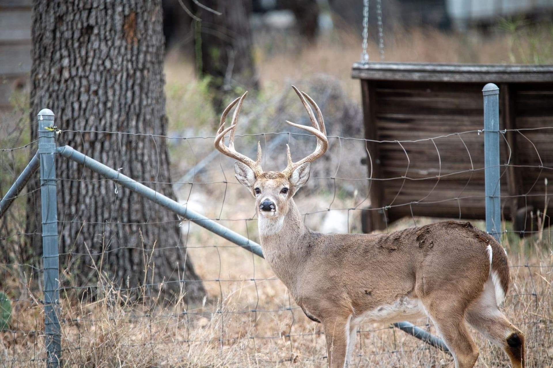 0.12 acres in Burnet County featured view