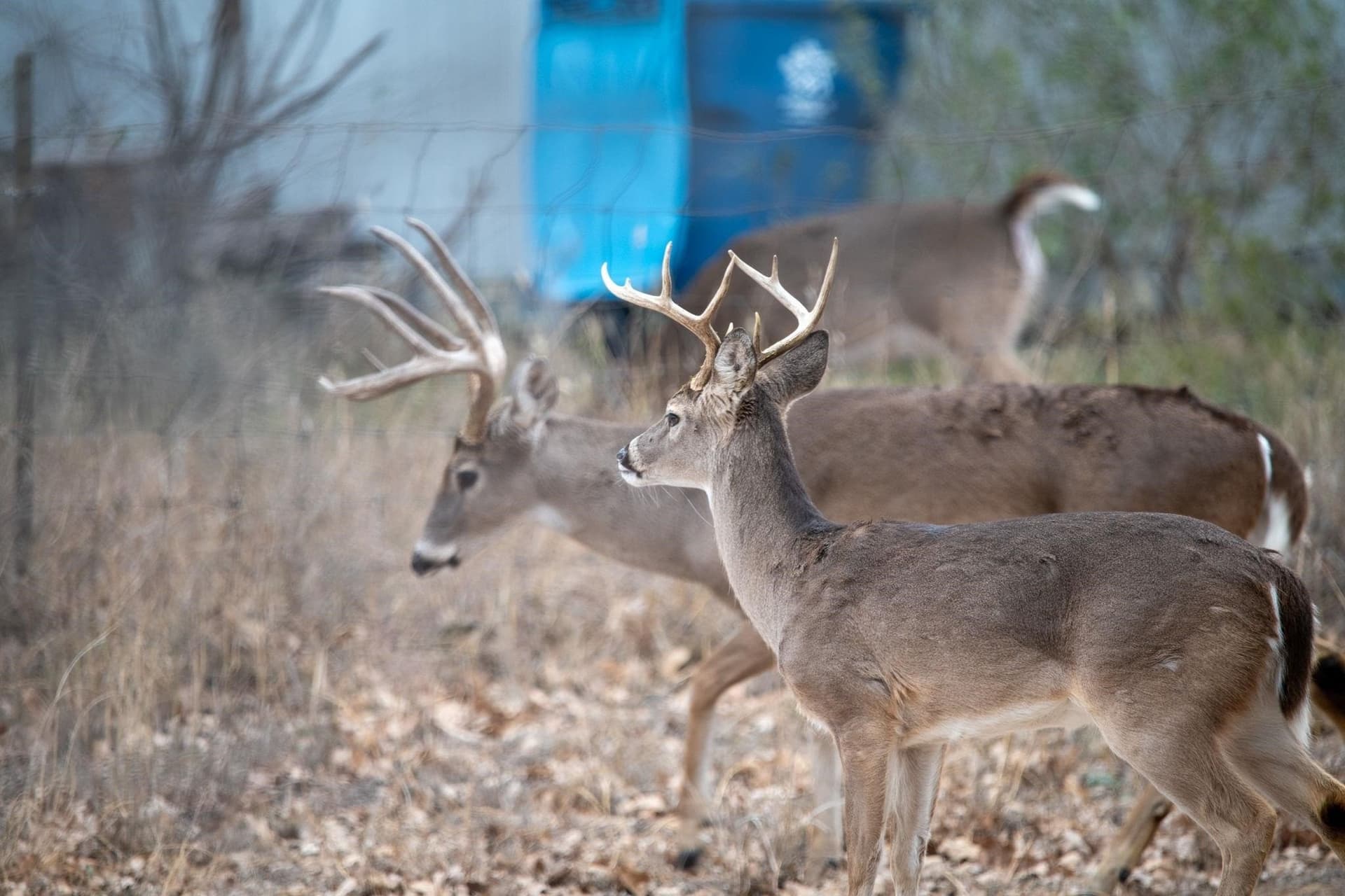 0.12 acres in Burnet County gallery image 3
