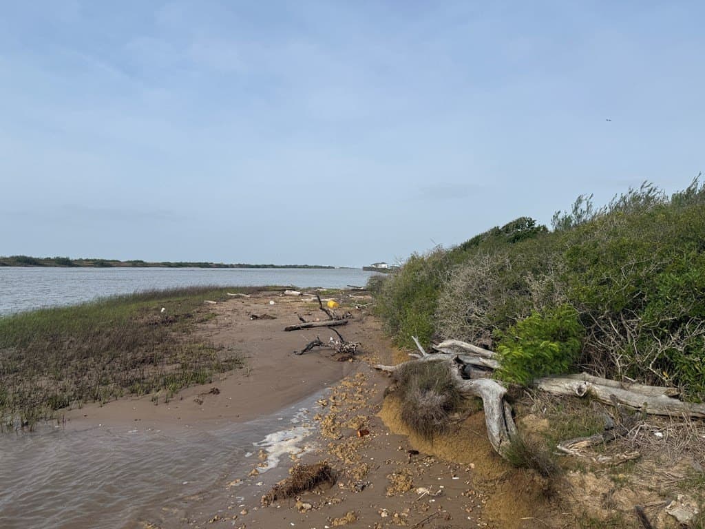 982 acres in Matagorda Area County gallery image 4