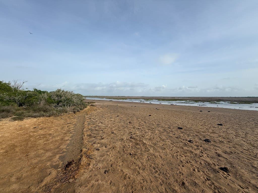 982 acres in Matagorda Area County gallery image 2