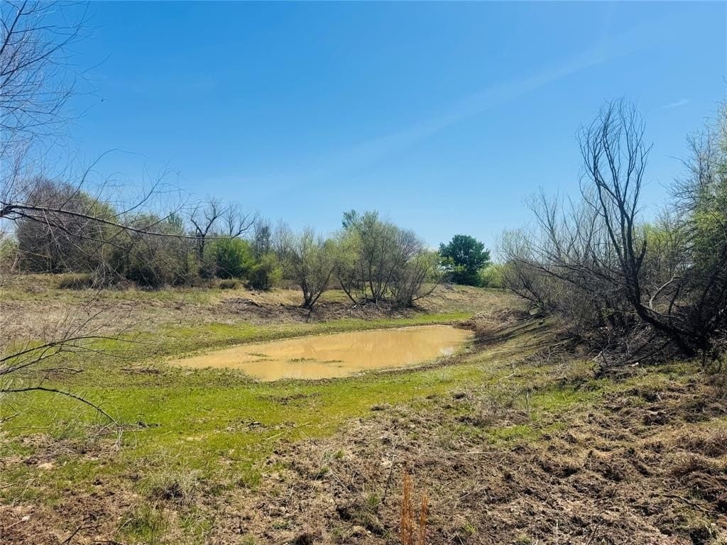 13.75 acres in Eastland County gallery image 2