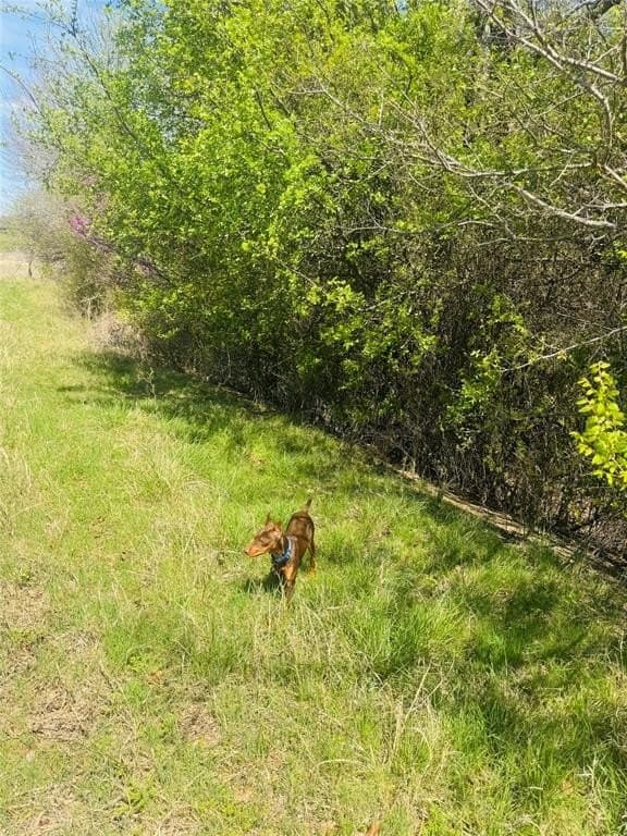 13.75 acres in Eastland County featured view