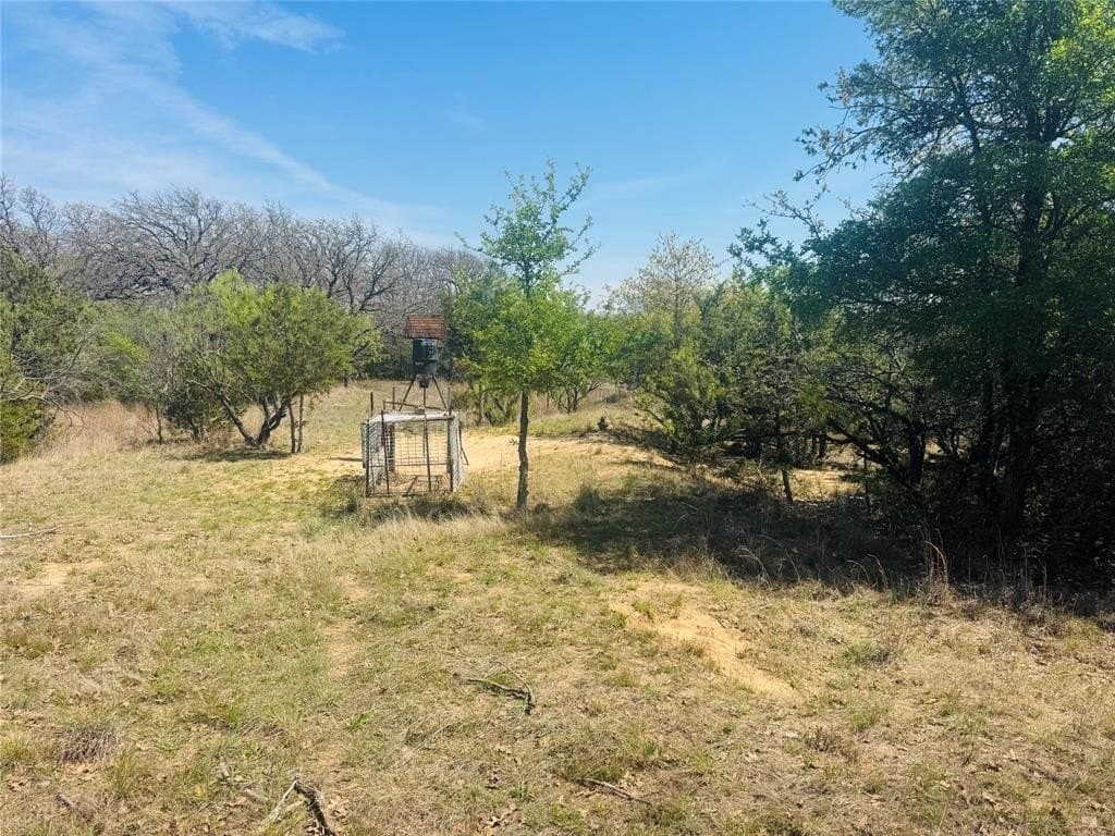 13.75 acres in Eastland County gallery image 3