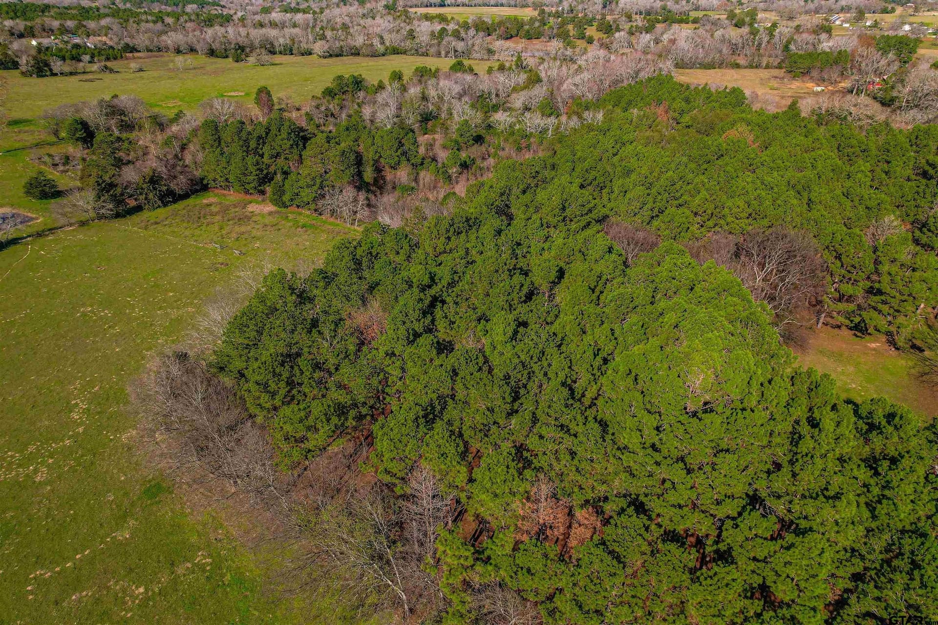 18.02 acres in Cherokee County - photo 10