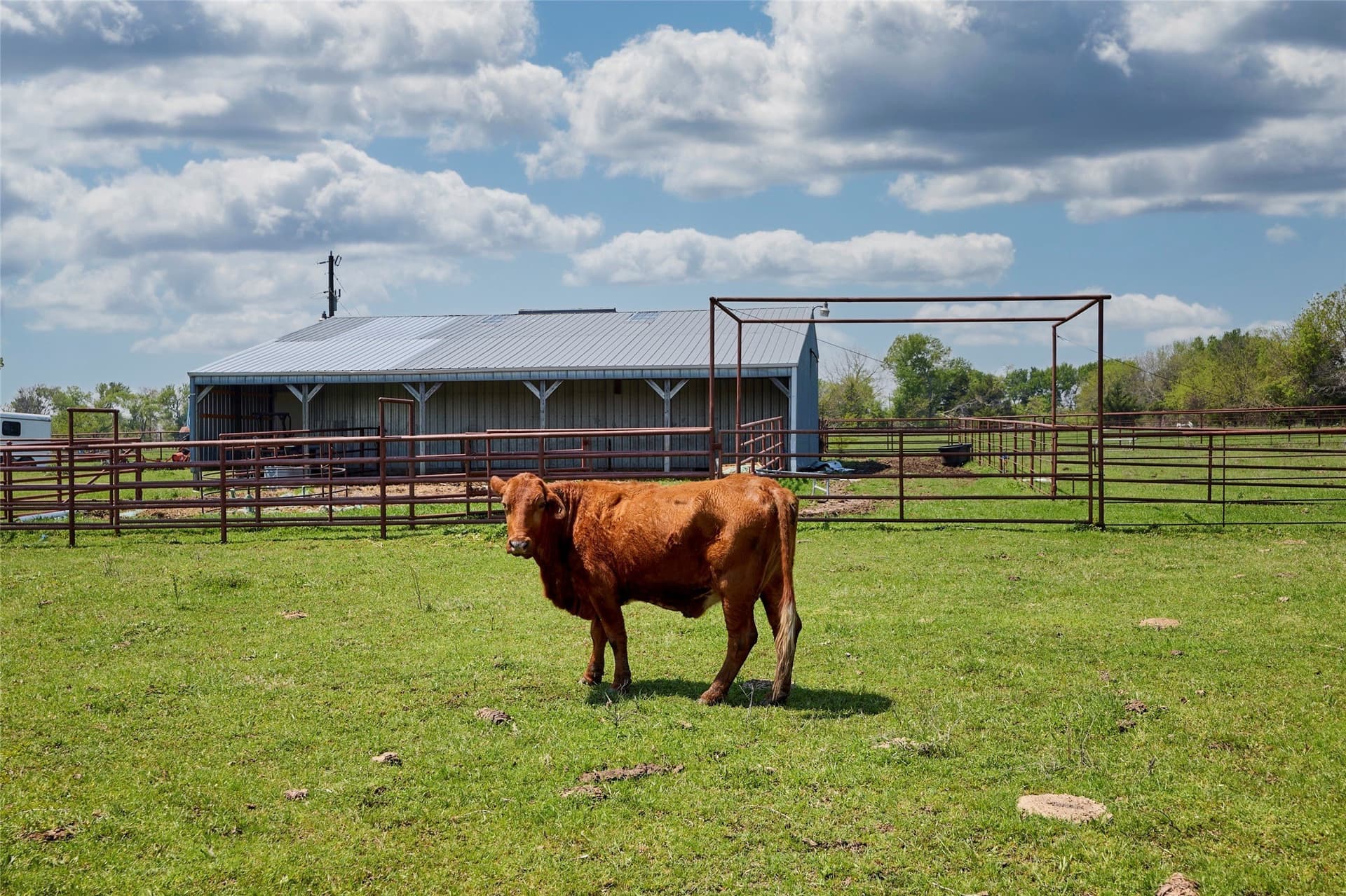 64.5 acres in Fannin County - photo 15