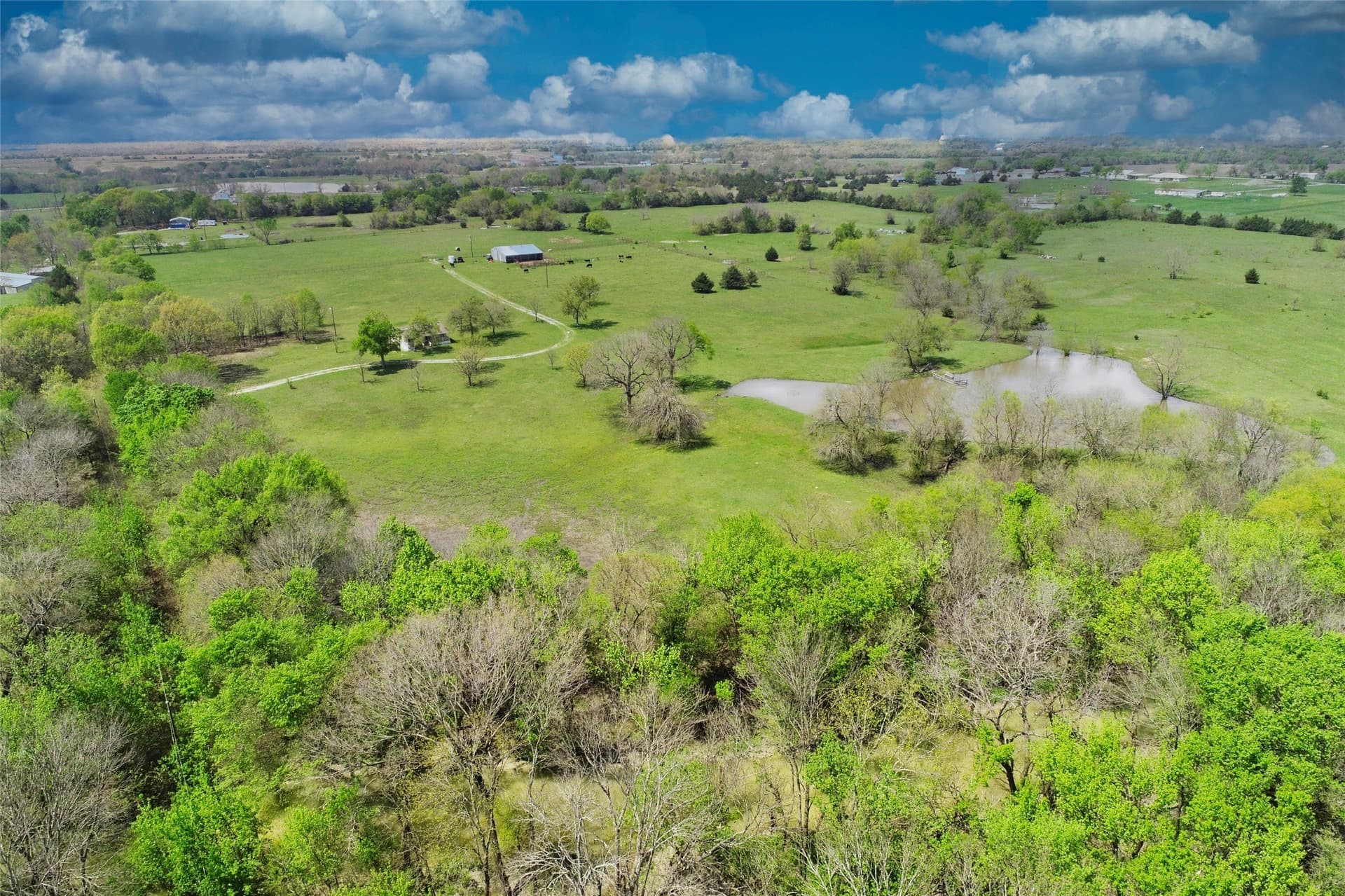 64.5 acres in Fannin County - photo 24