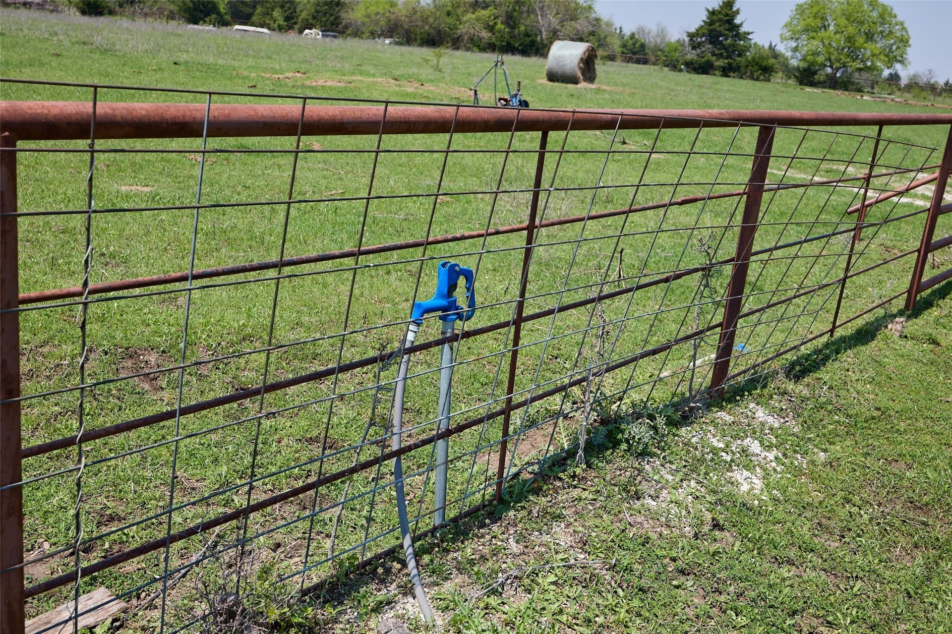 64.5 acres in Fannin County - photo 19