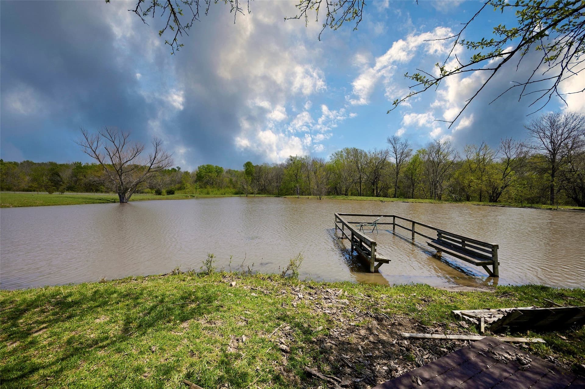 64.5 acres in Fannin County - photo 6