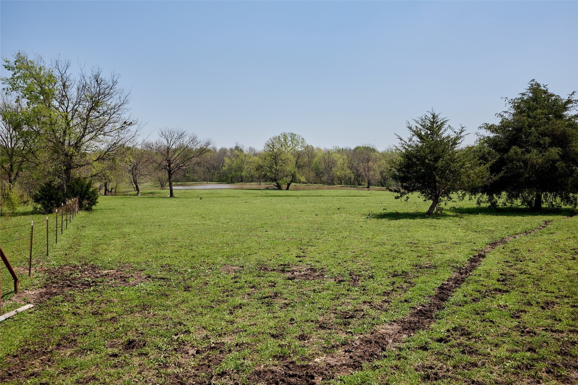64.5 acres in Fannin County - photo 31