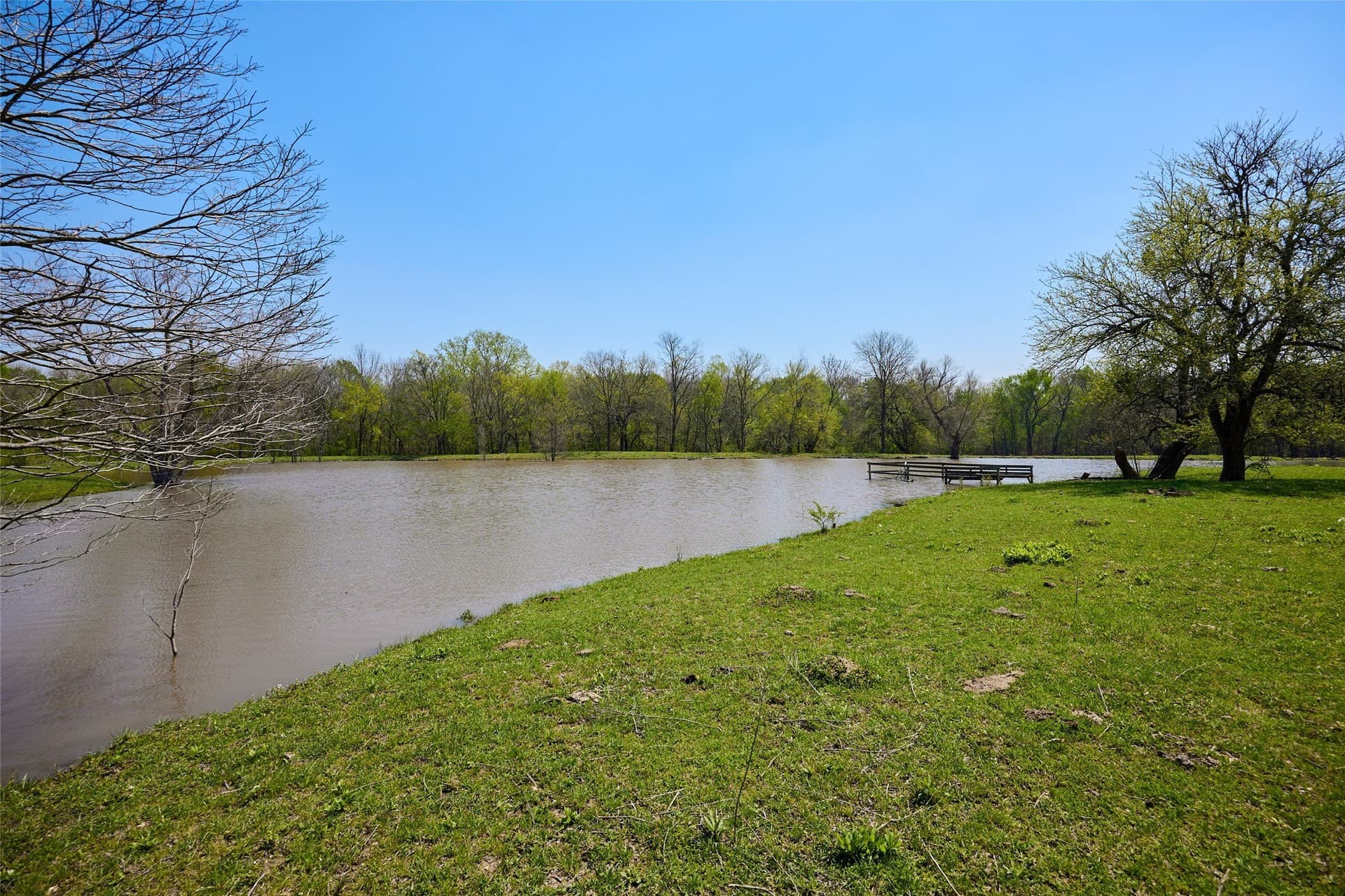 64.5 acres in Fannin County - photo 33