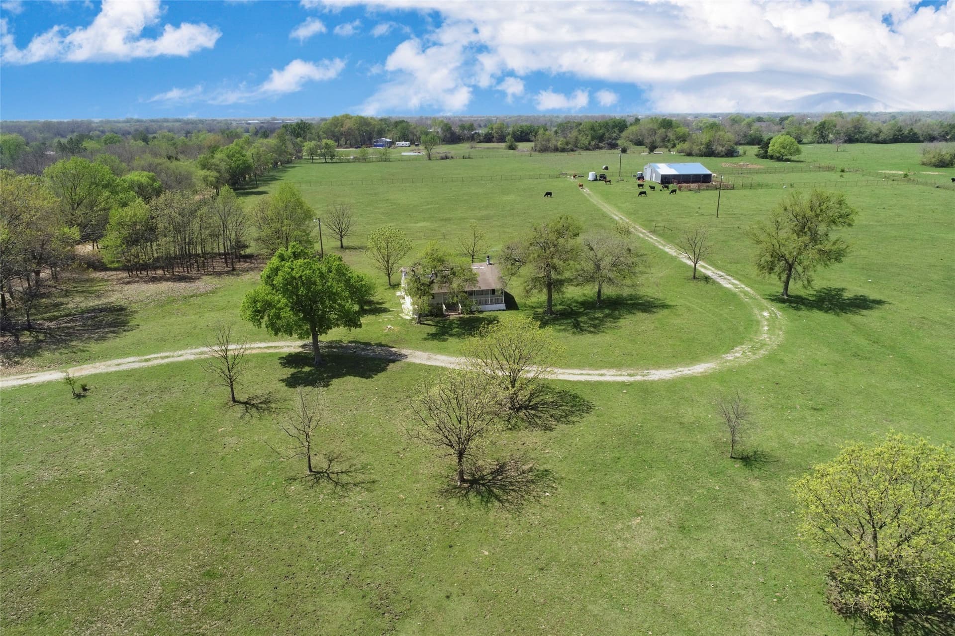 64.5 acres in Fannin County gallery image 4
