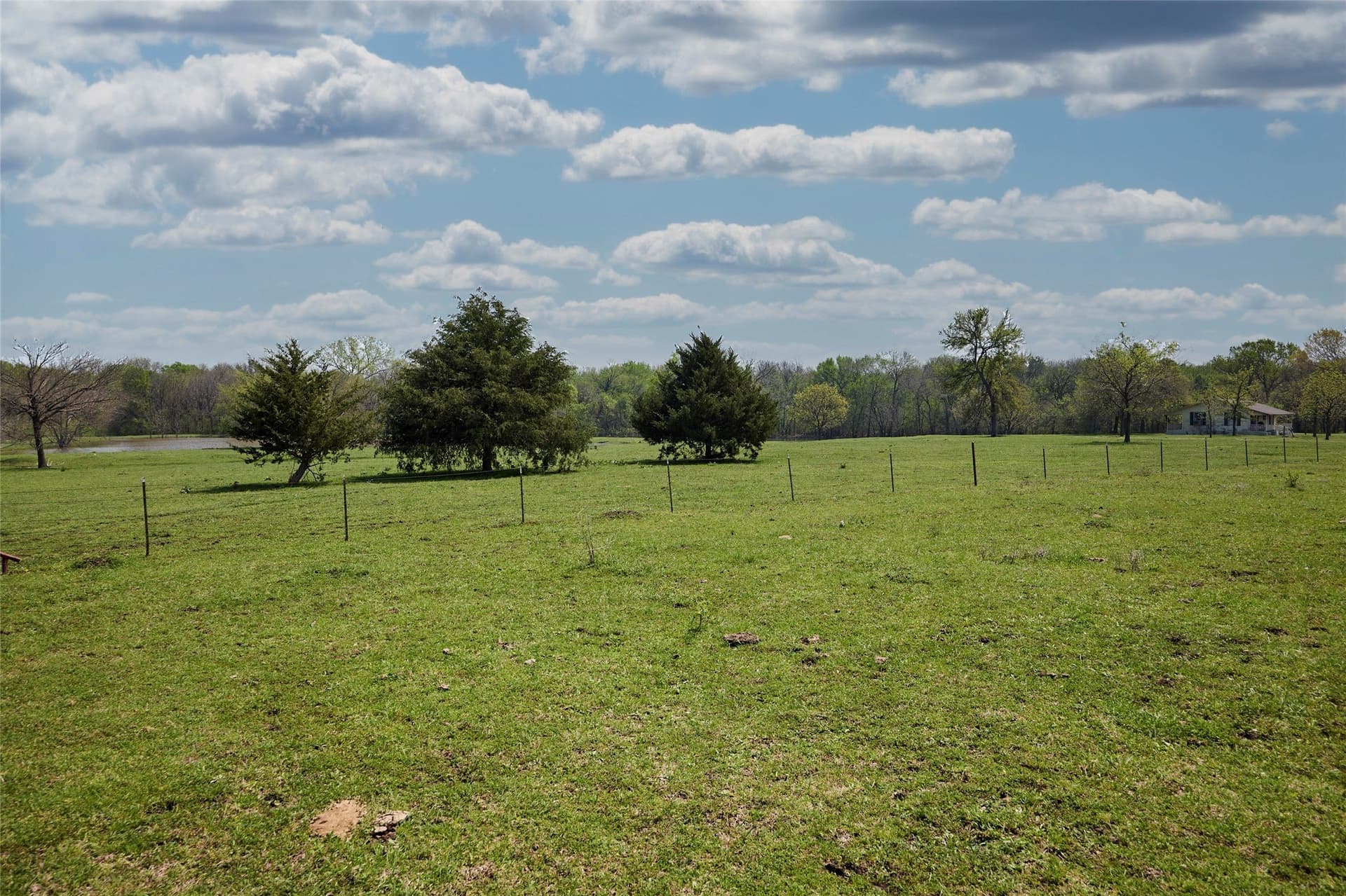 64.5 acres in Fannin County - photo 28