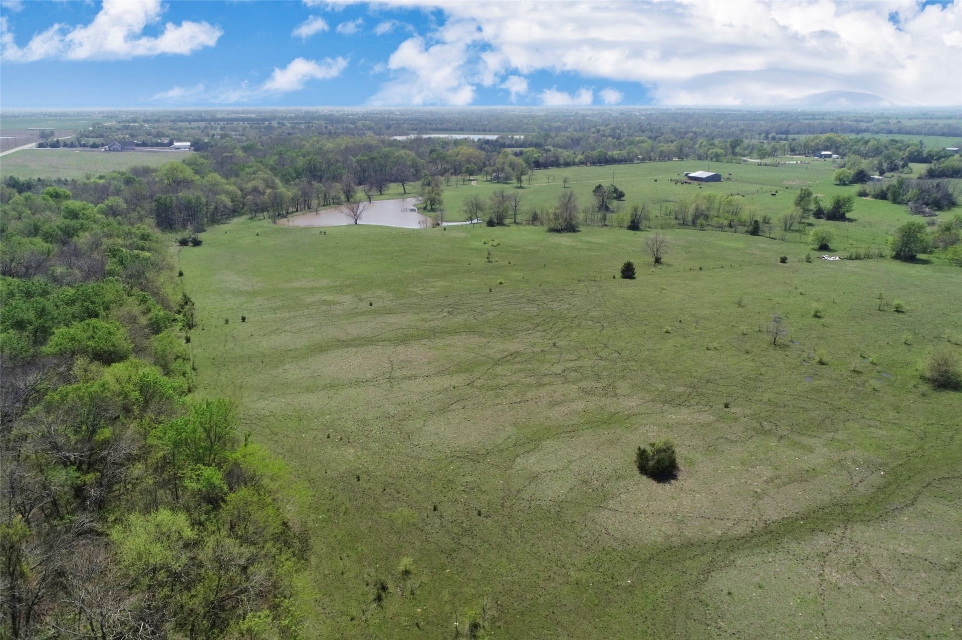 64.5 acres in Fannin County - photo 25