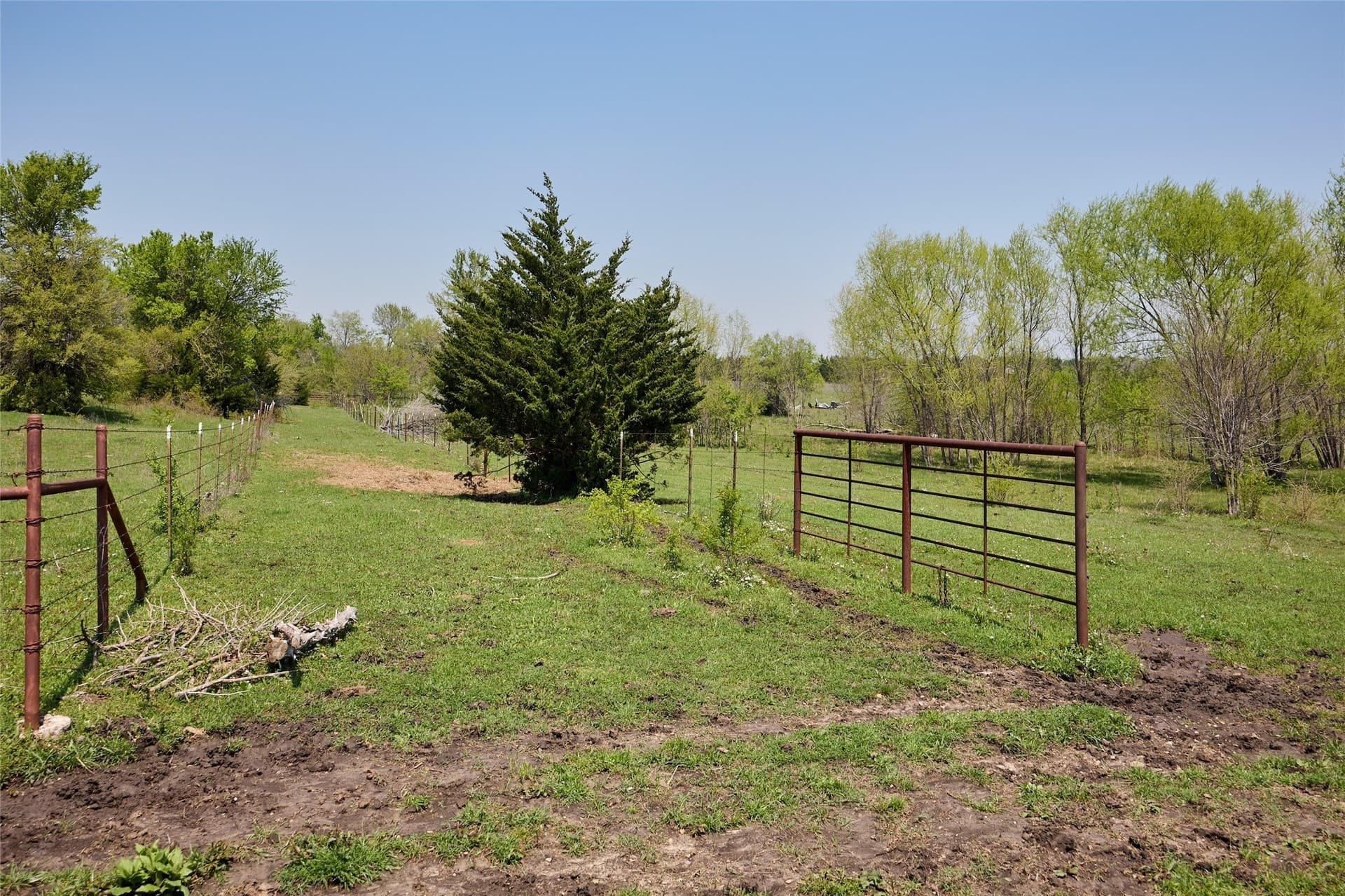 64.5 acres in Fannin County - photo 30
