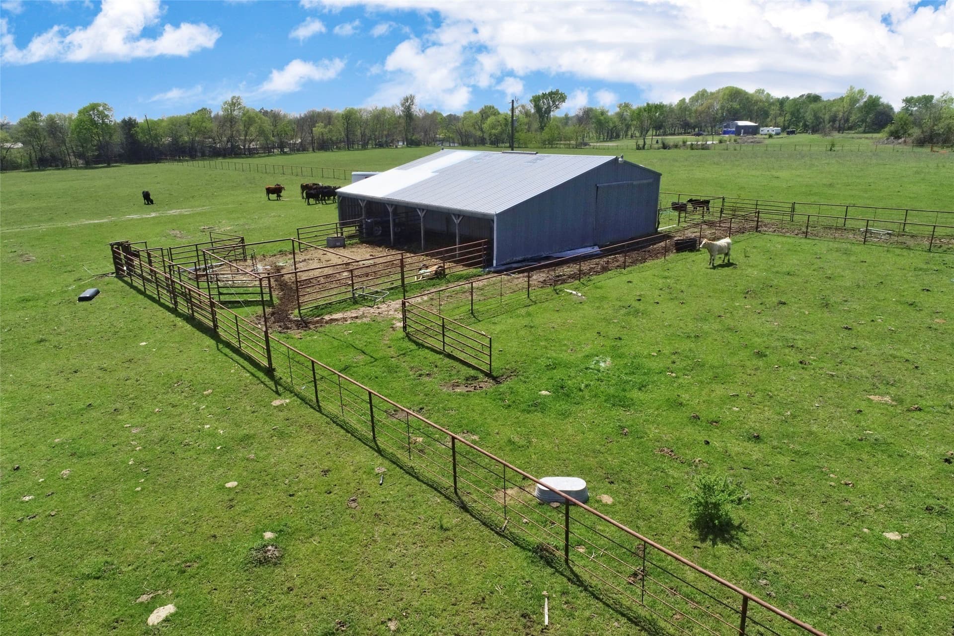 64.5 acres in Fannin County - photo 11