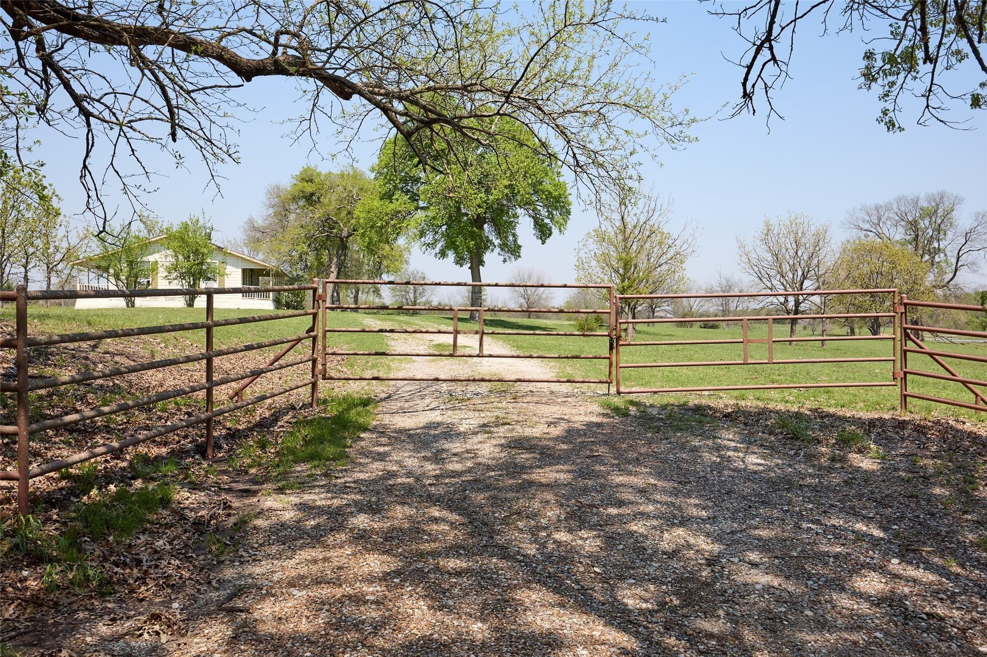 64.5 acres in Fannin County - photo 7
