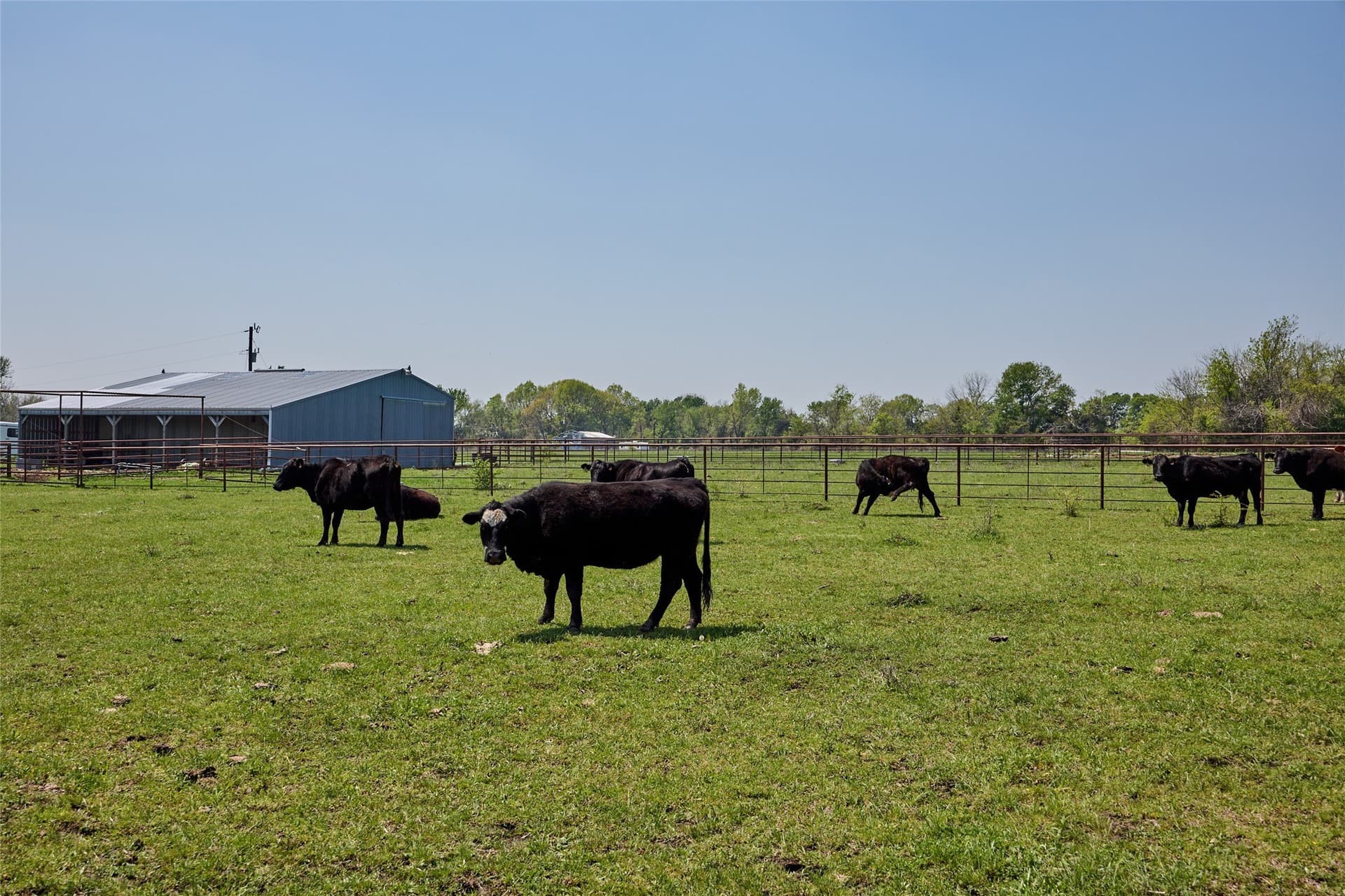 64.5 acres in Fannin County - photo 17