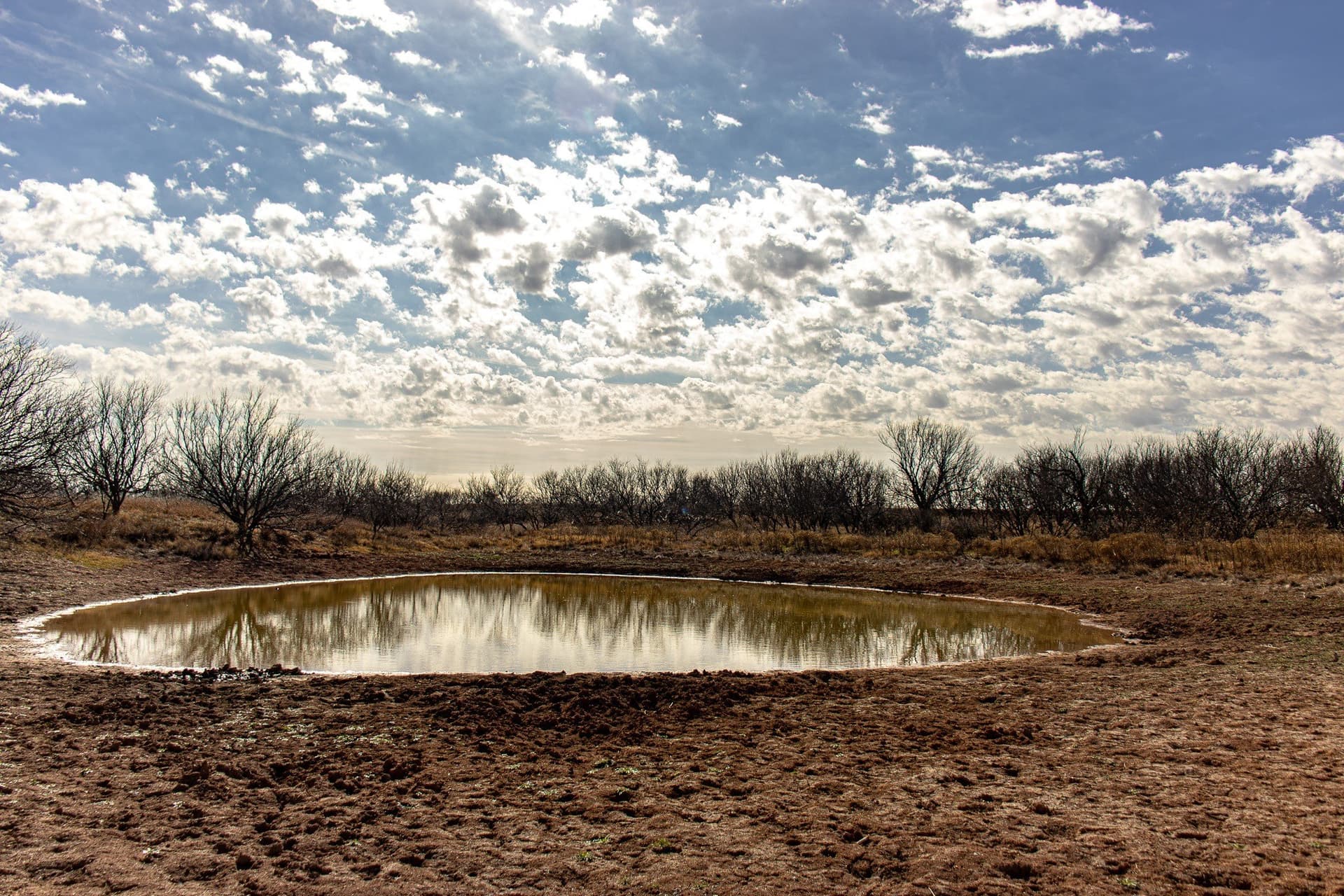 167 acres in Baylor County - photo 8