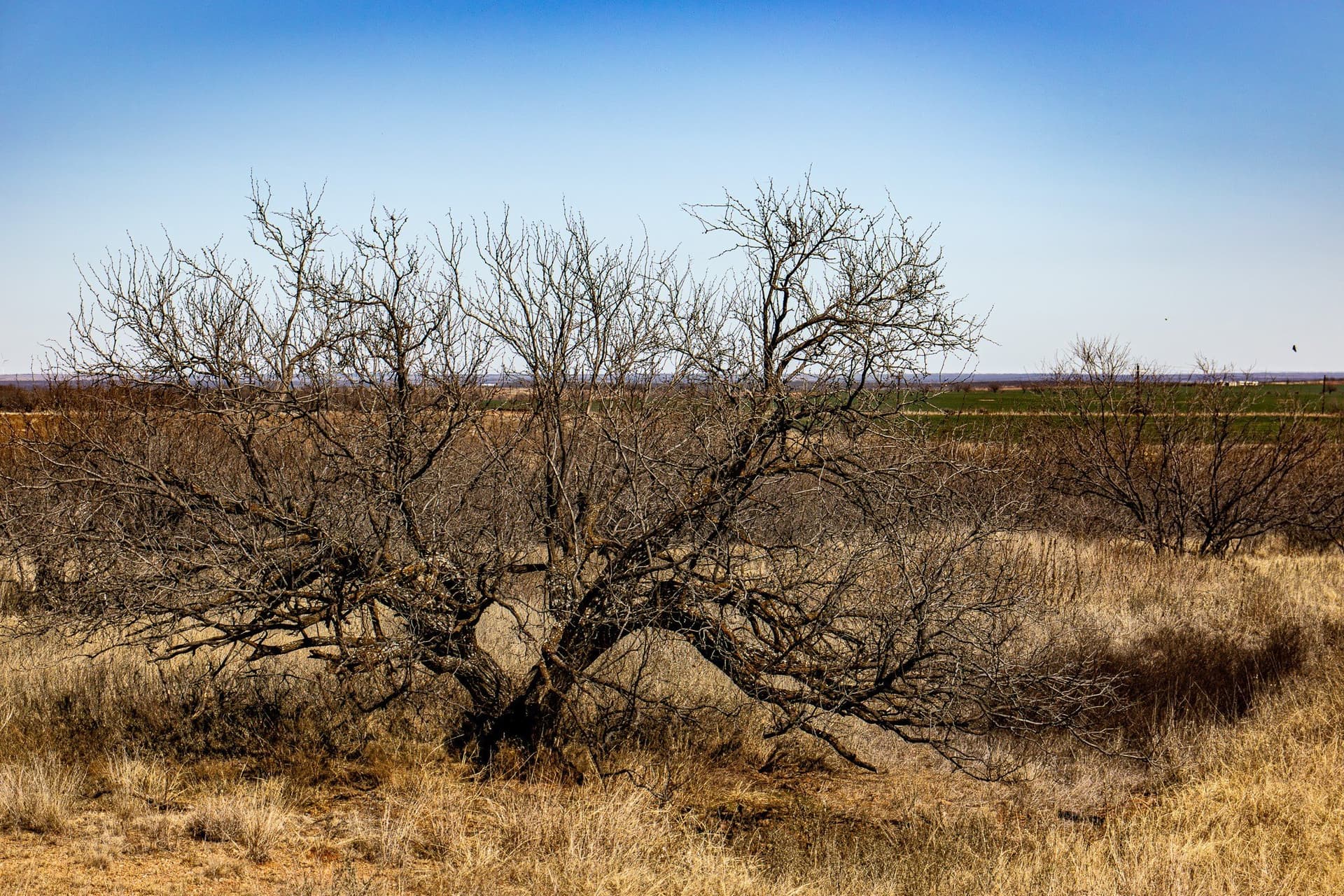 167 acres in Baylor County - photo 33