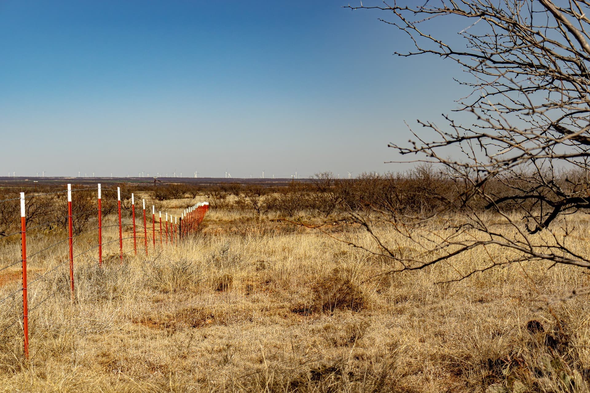167 acres in Baylor County - photo 21