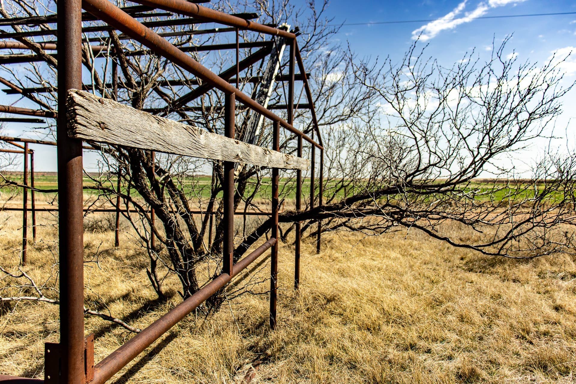 167 acres in Baylor County - photo 38
