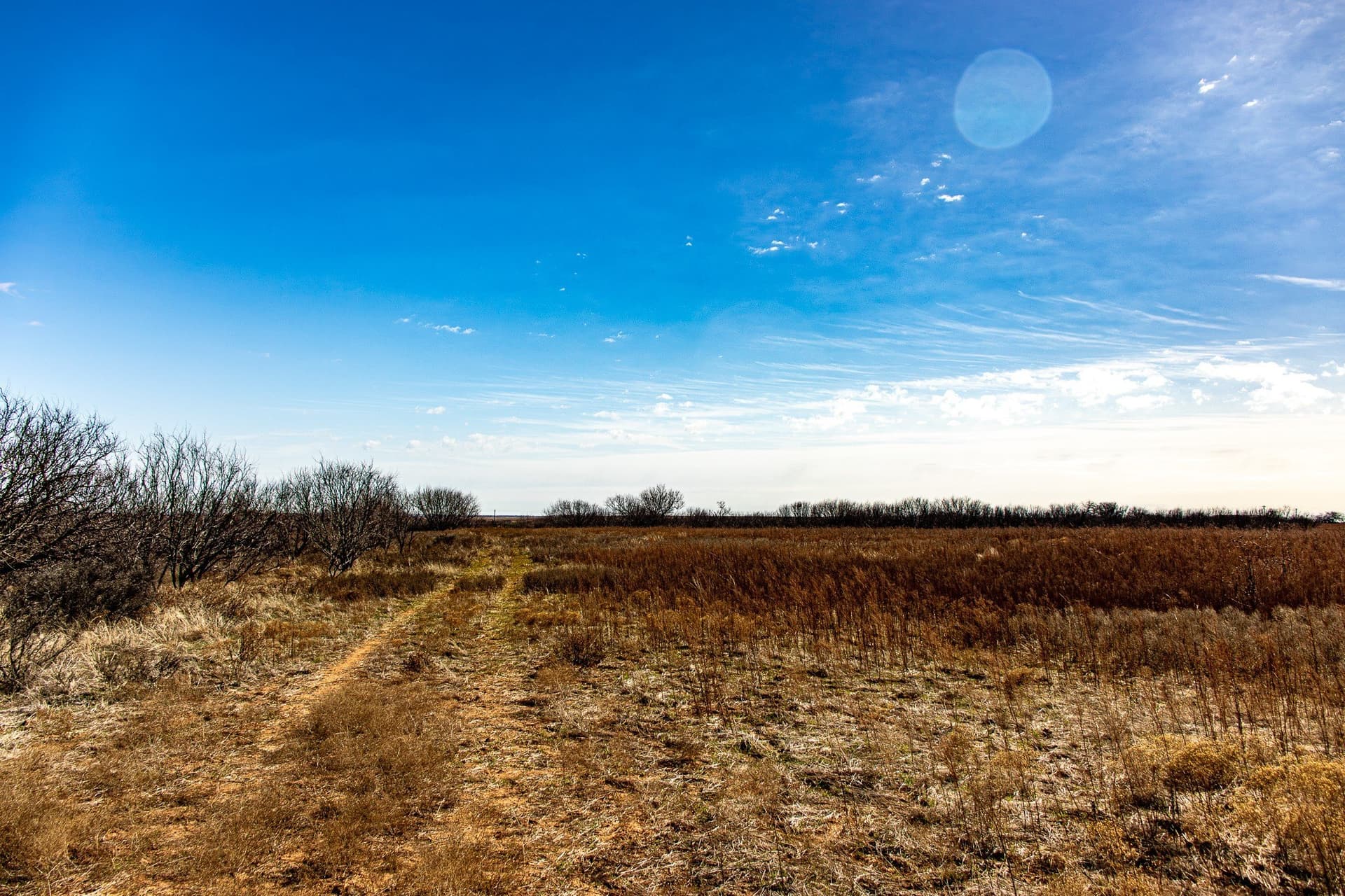 167 acres in Baylor County - photo 25