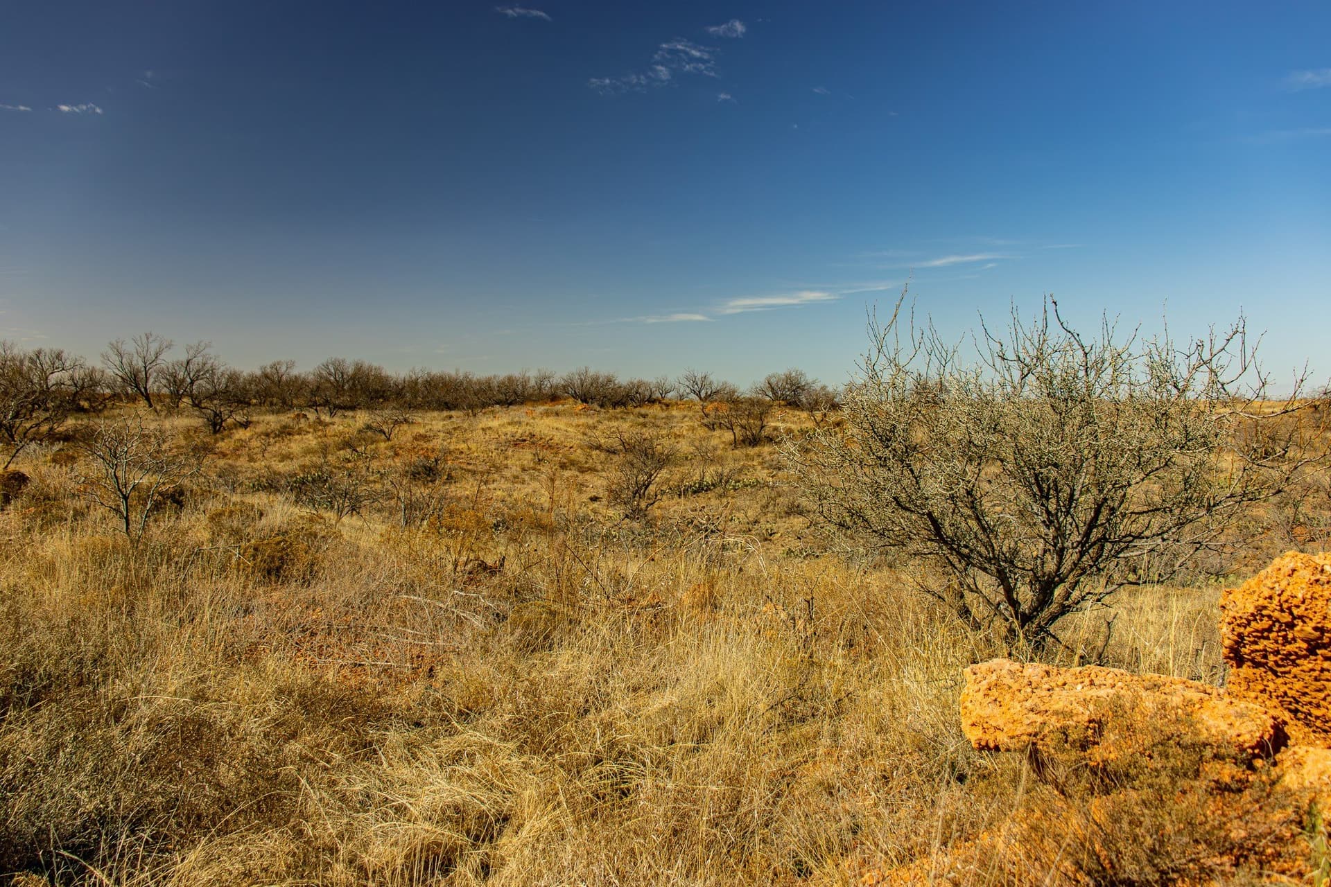 167 acres in Baylor County - photo 14