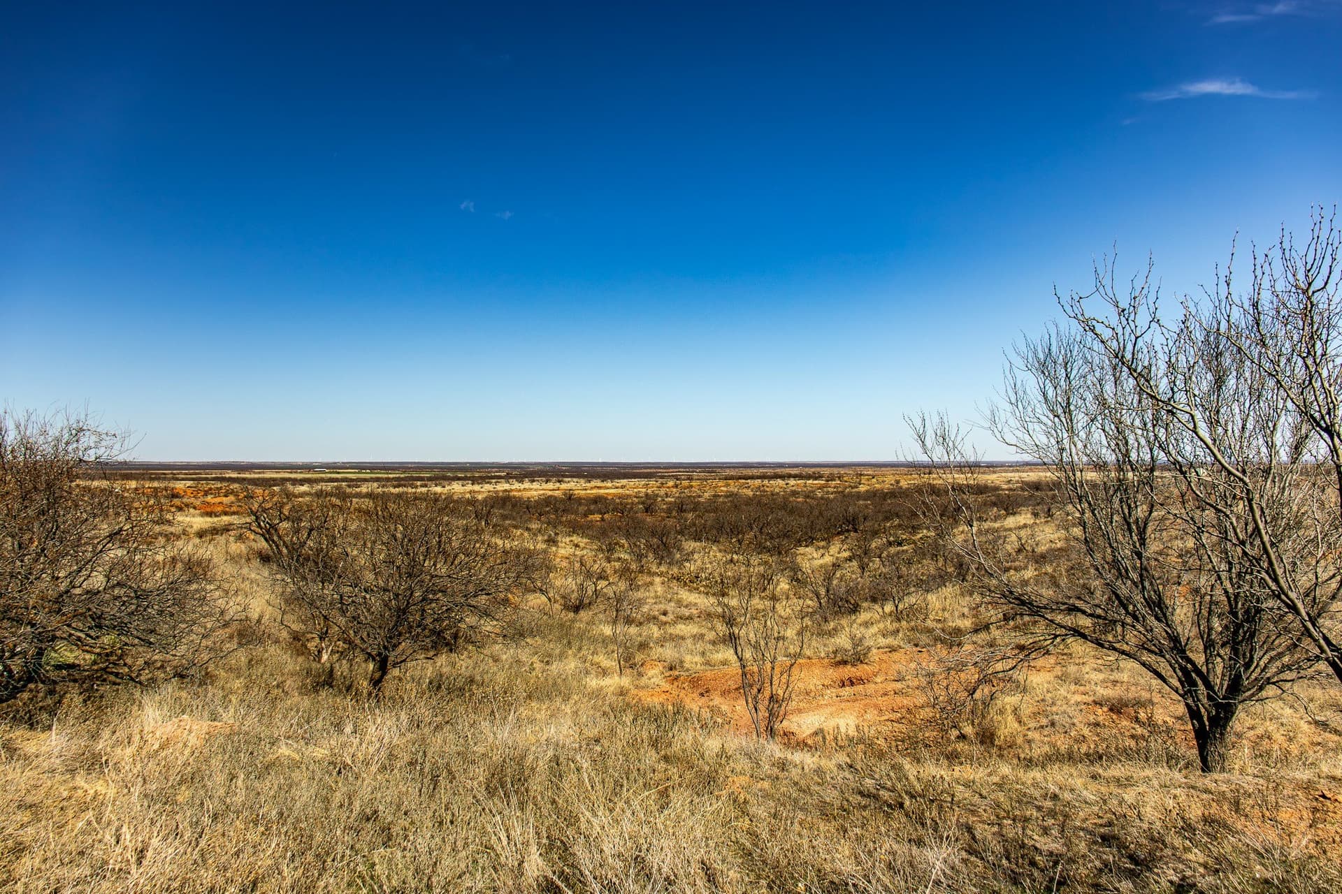 167 acres in Baylor County - photo 32