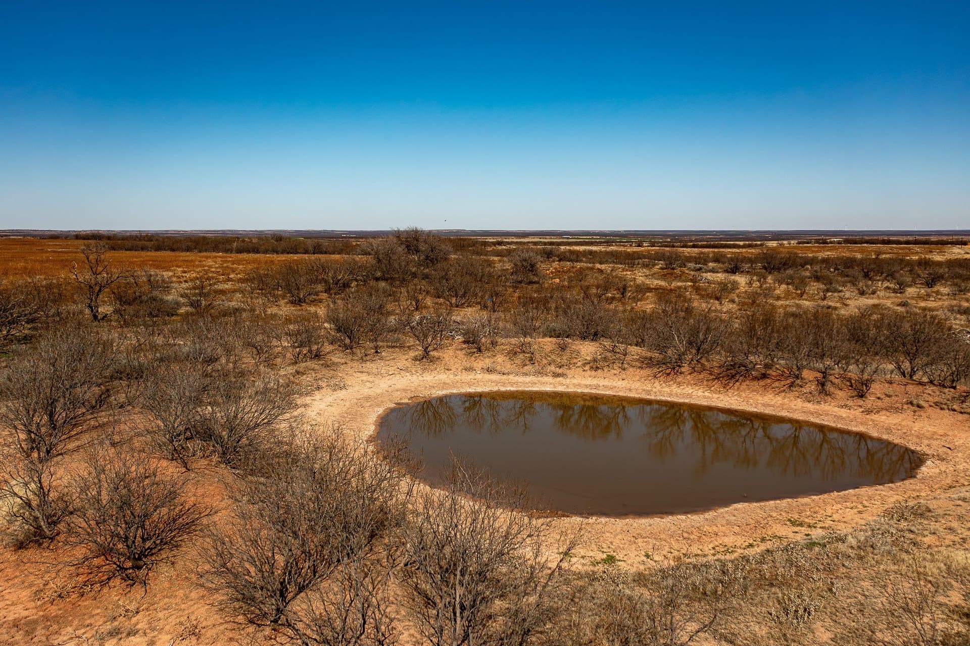 167 acres in Baylor County gallery image 3