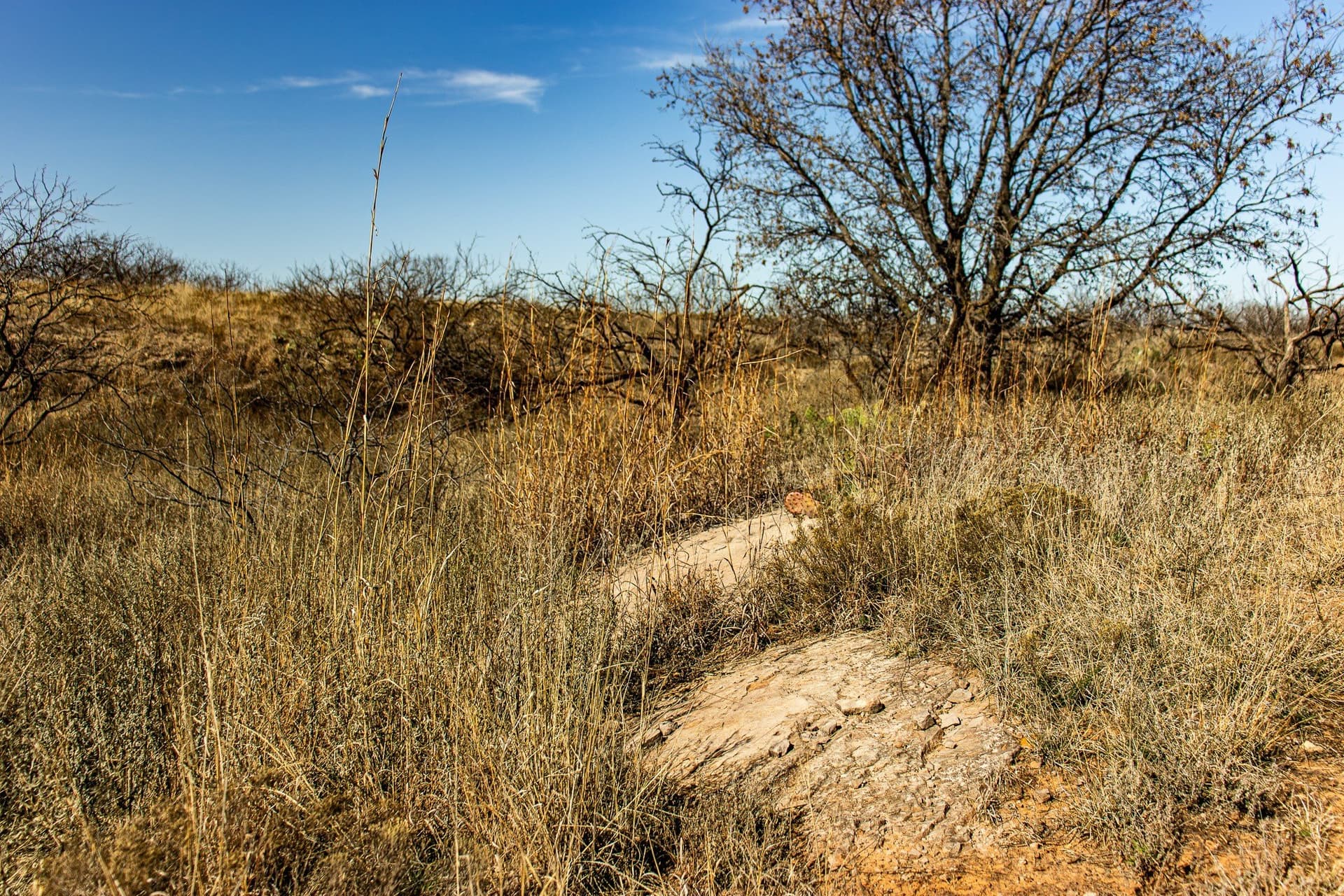 167 acres in Baylor County - photo 18