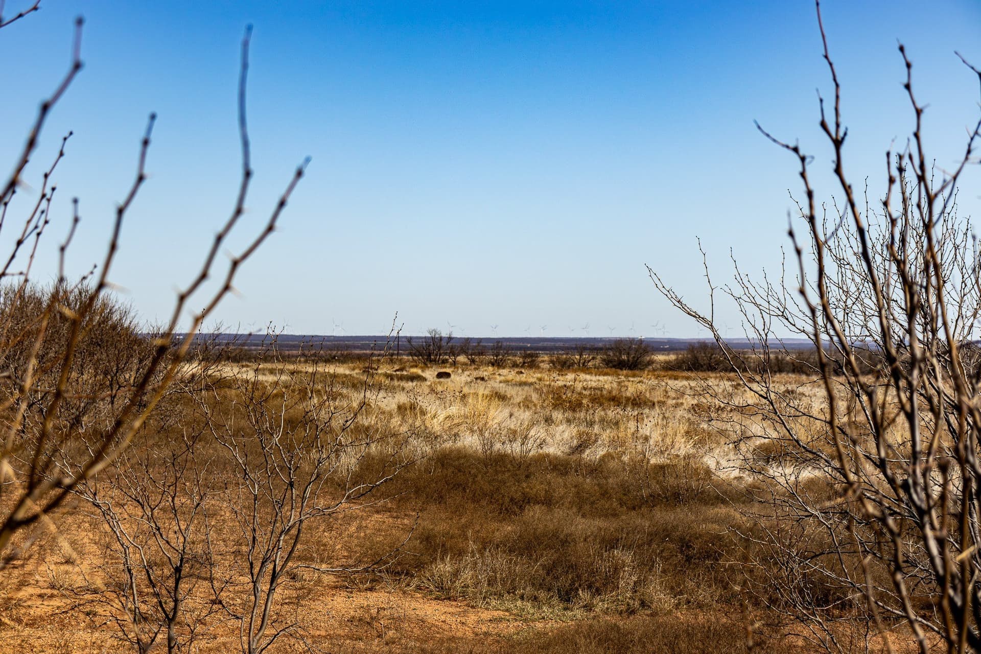 167 acres in Baylor County - photo 7