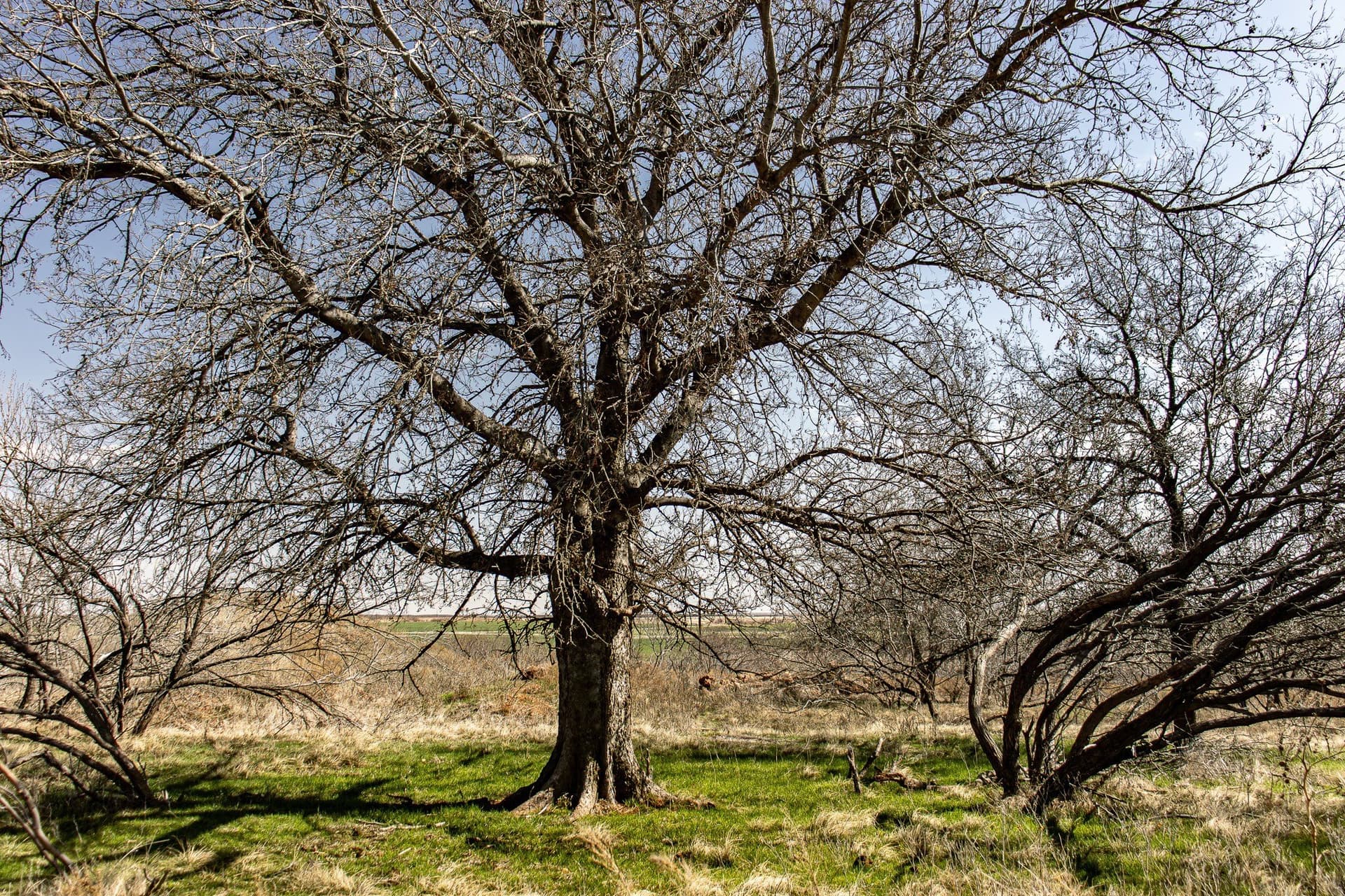 167 acres in Baylor County - photo 35
