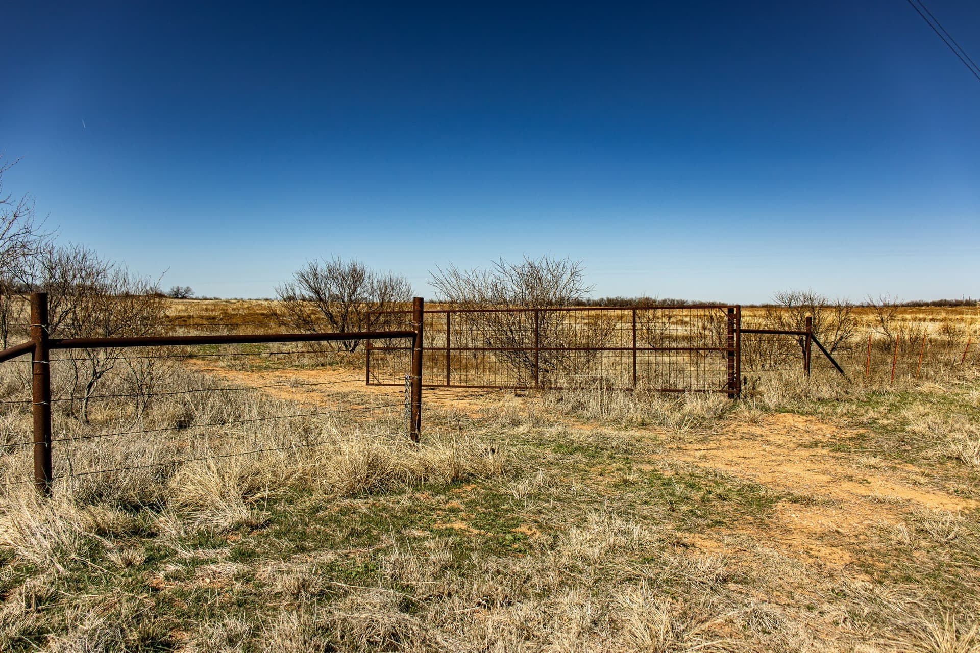 167 acres in Baylor County - photo 39