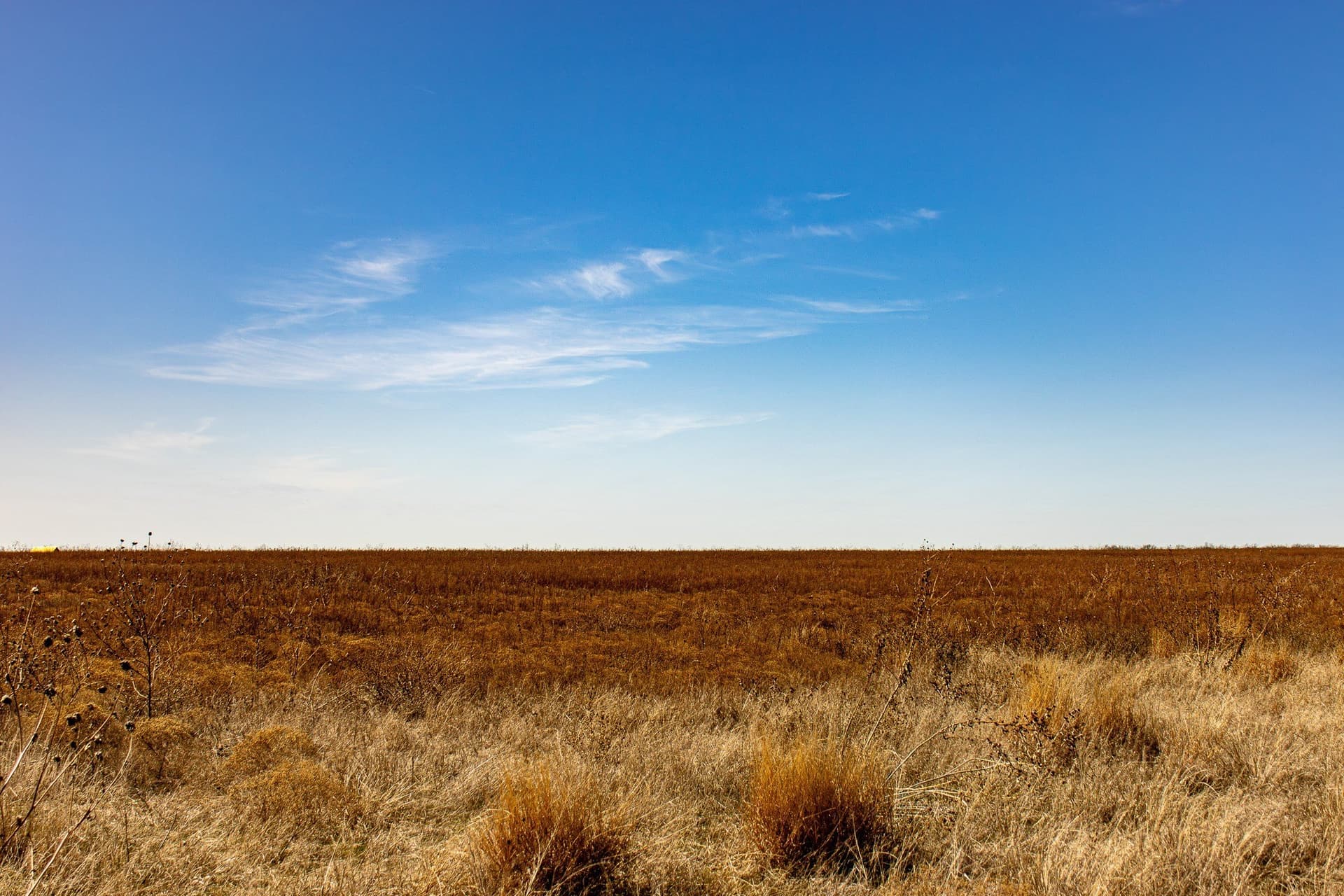 167 acres in Baylor County - photo 34